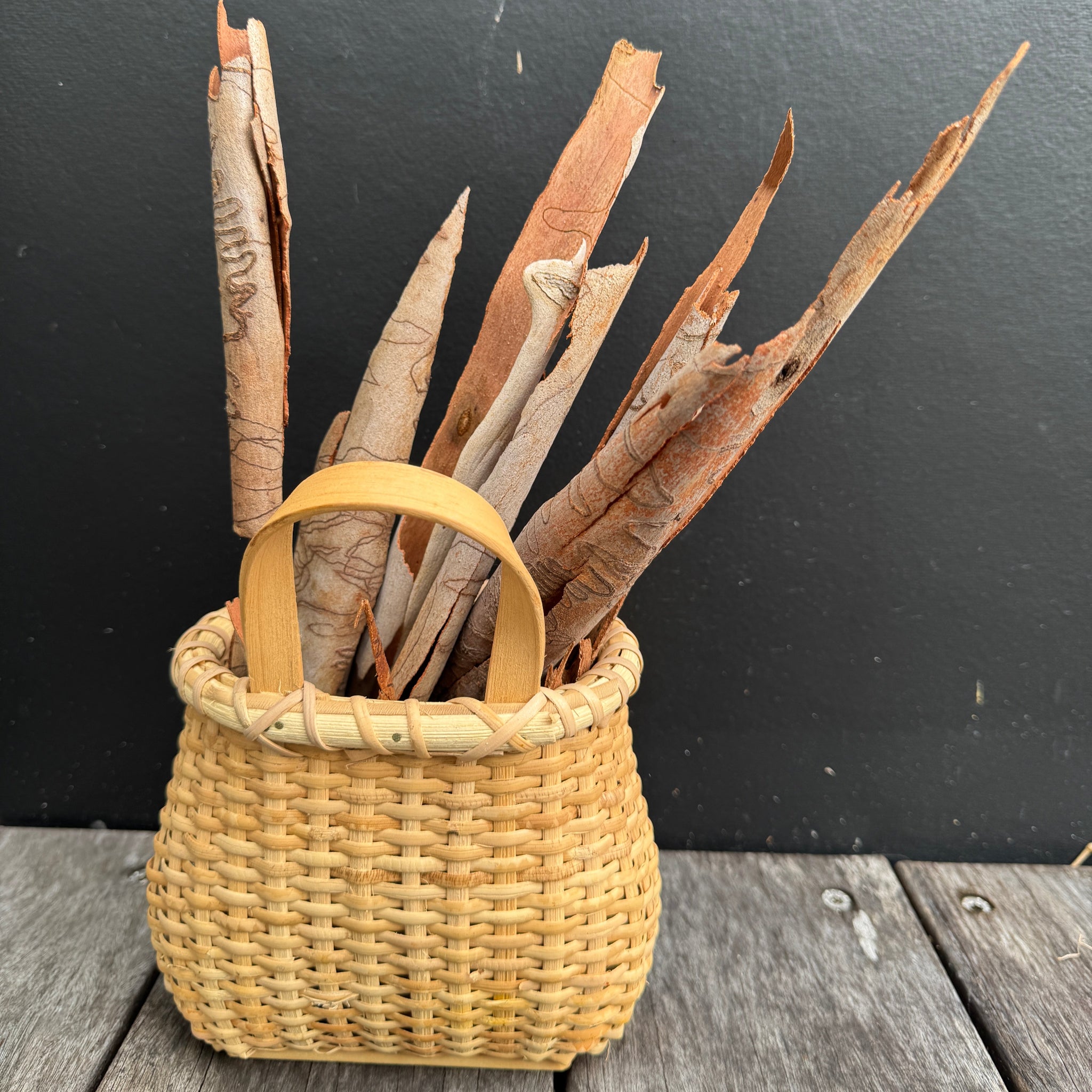 Foraging Basket