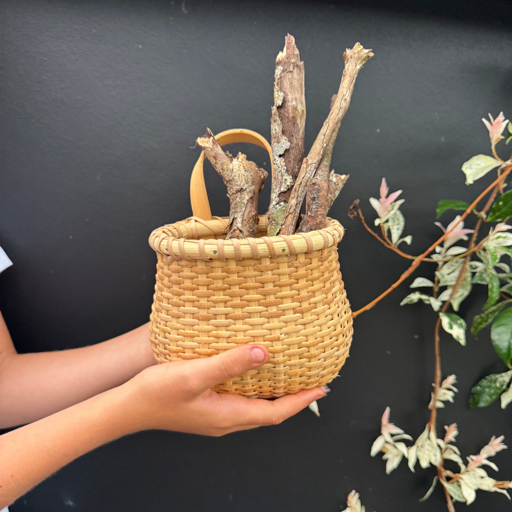 Foraging Basket