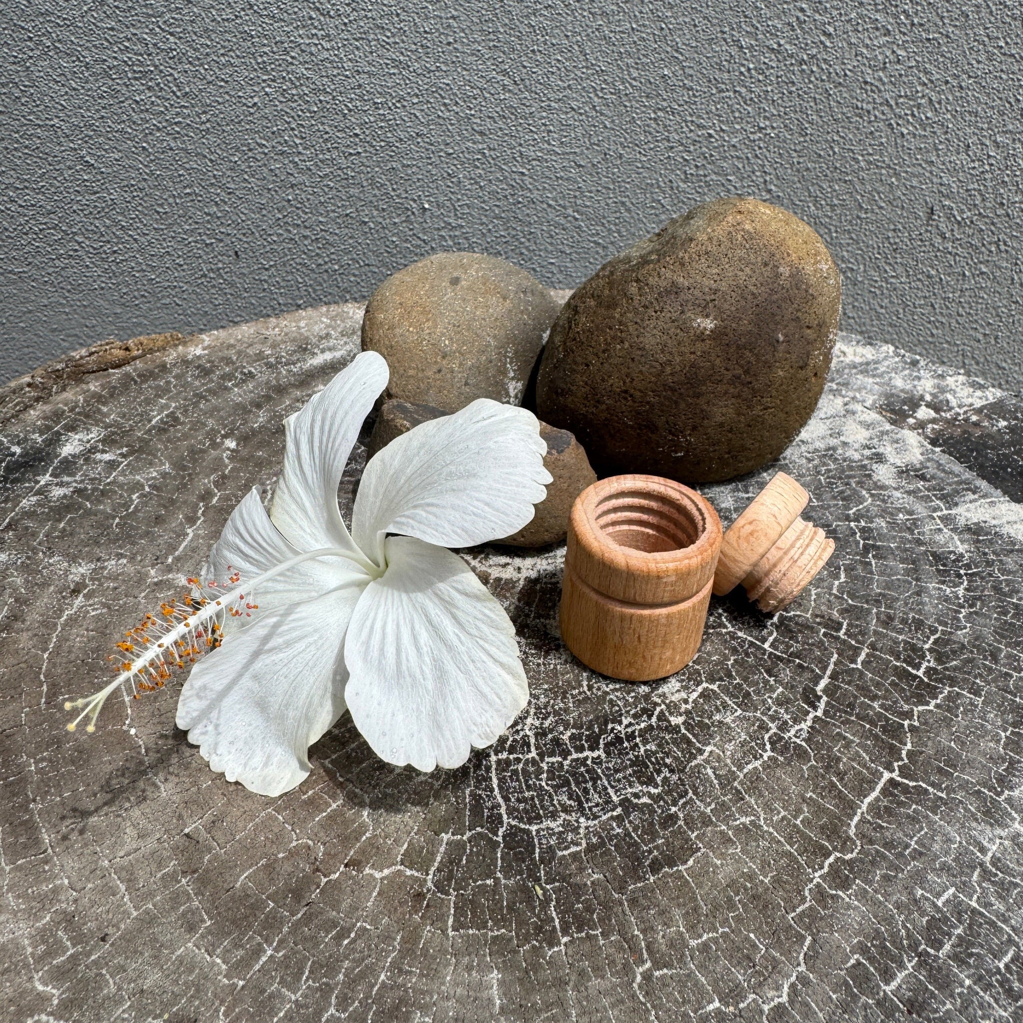 Tooth Fairy Container and Fairy Doll