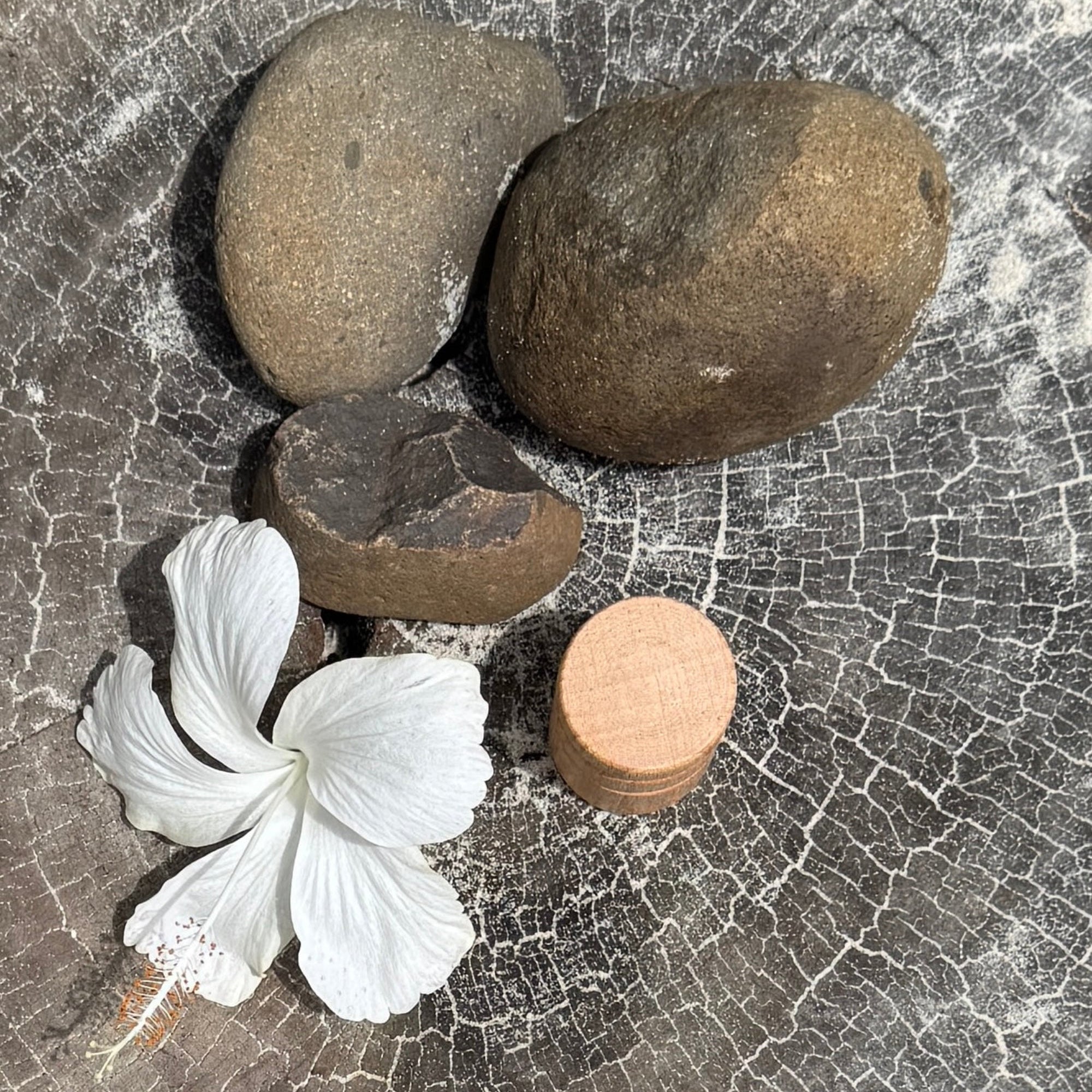 Tooth Fairy Container and Fairy Doll
