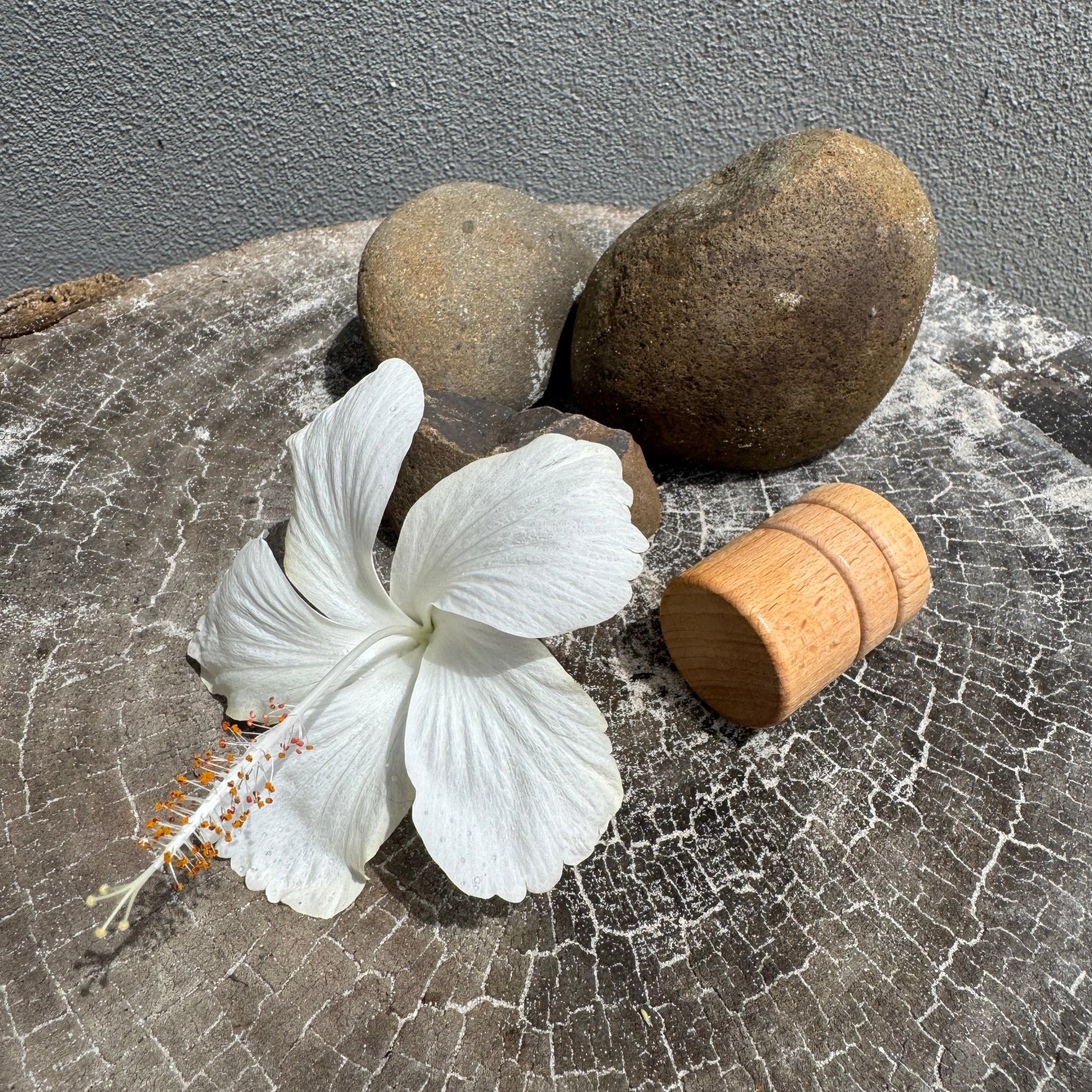 Tooth Fairy Container and Fairy Doll