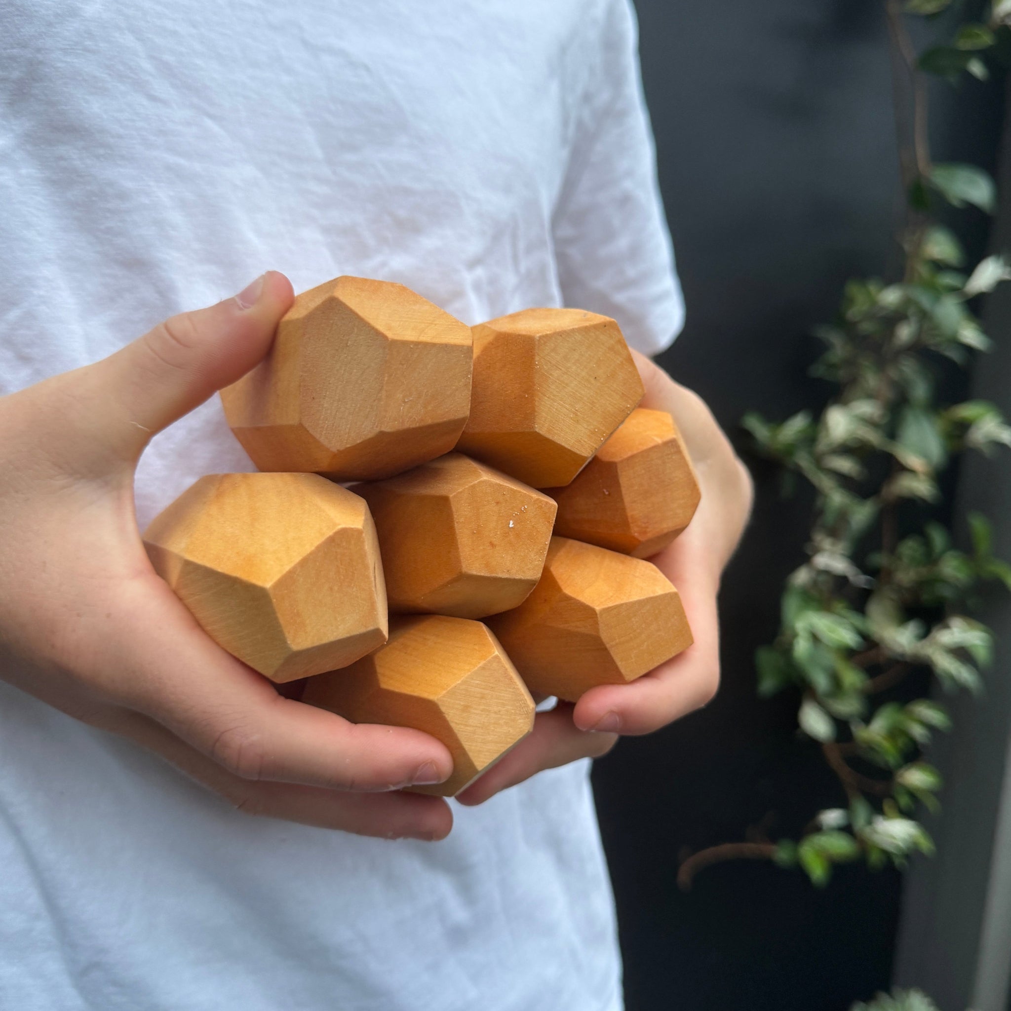 Wooden Balancing Blocks