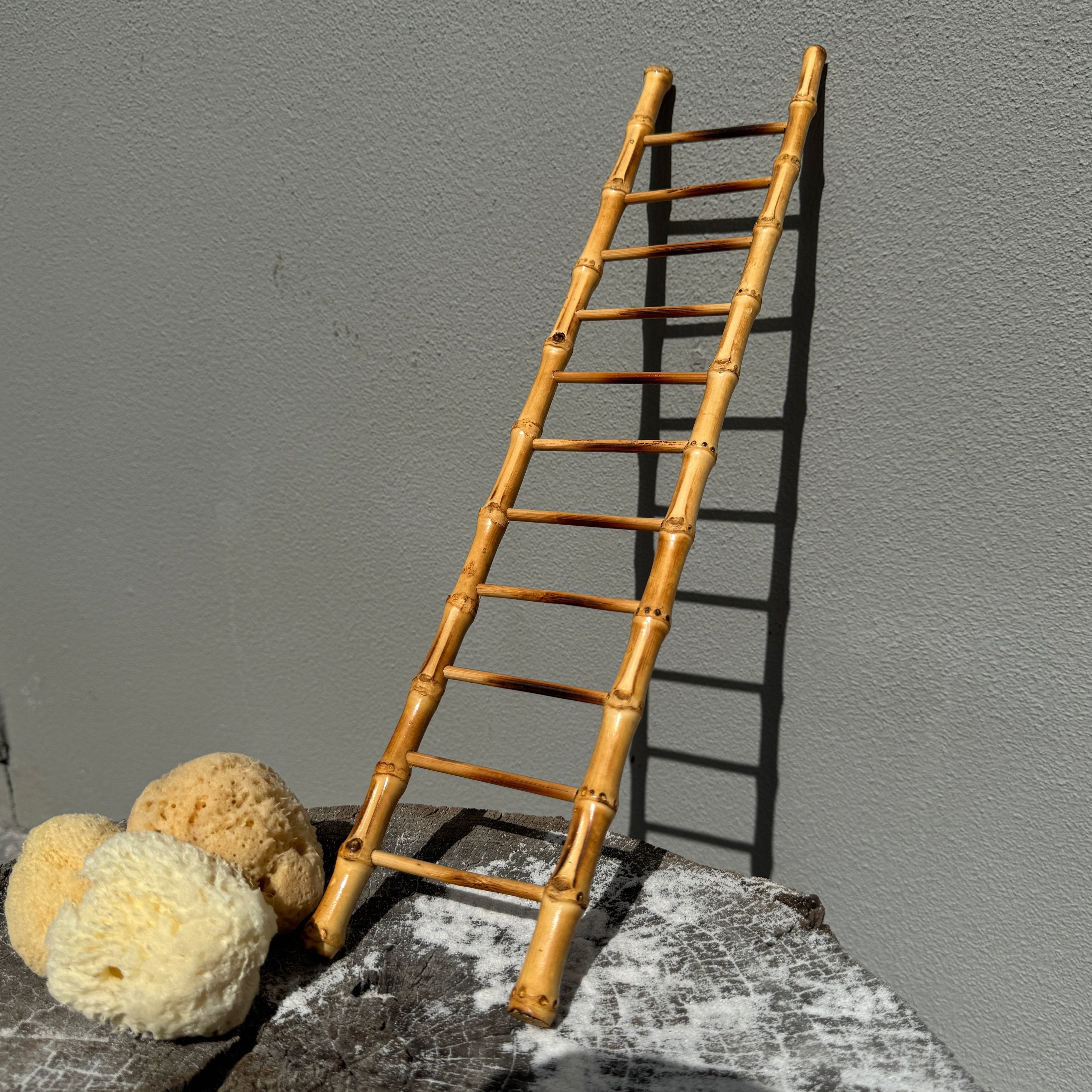 Toy Ladder