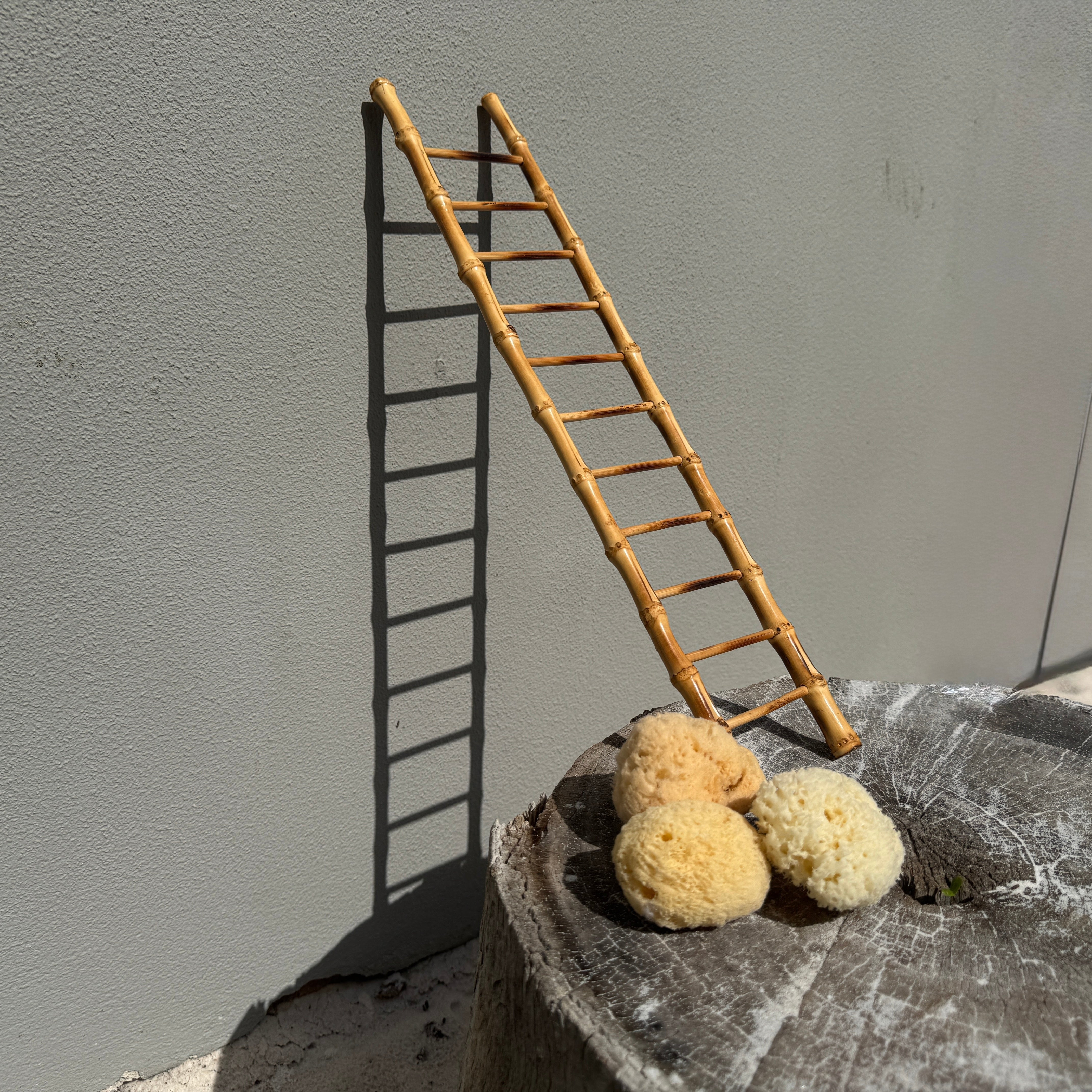 Toy Ladder
