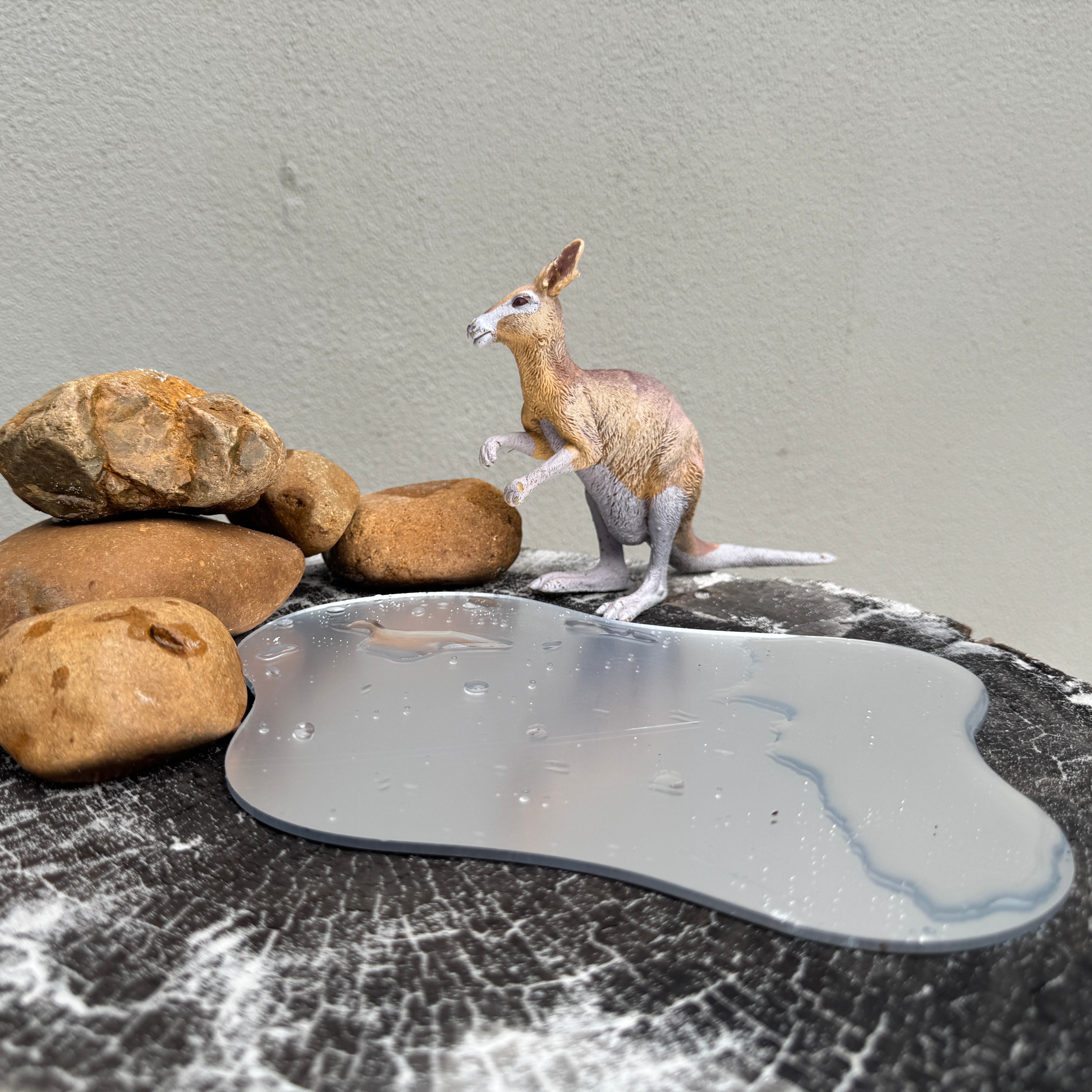 Small World Pond