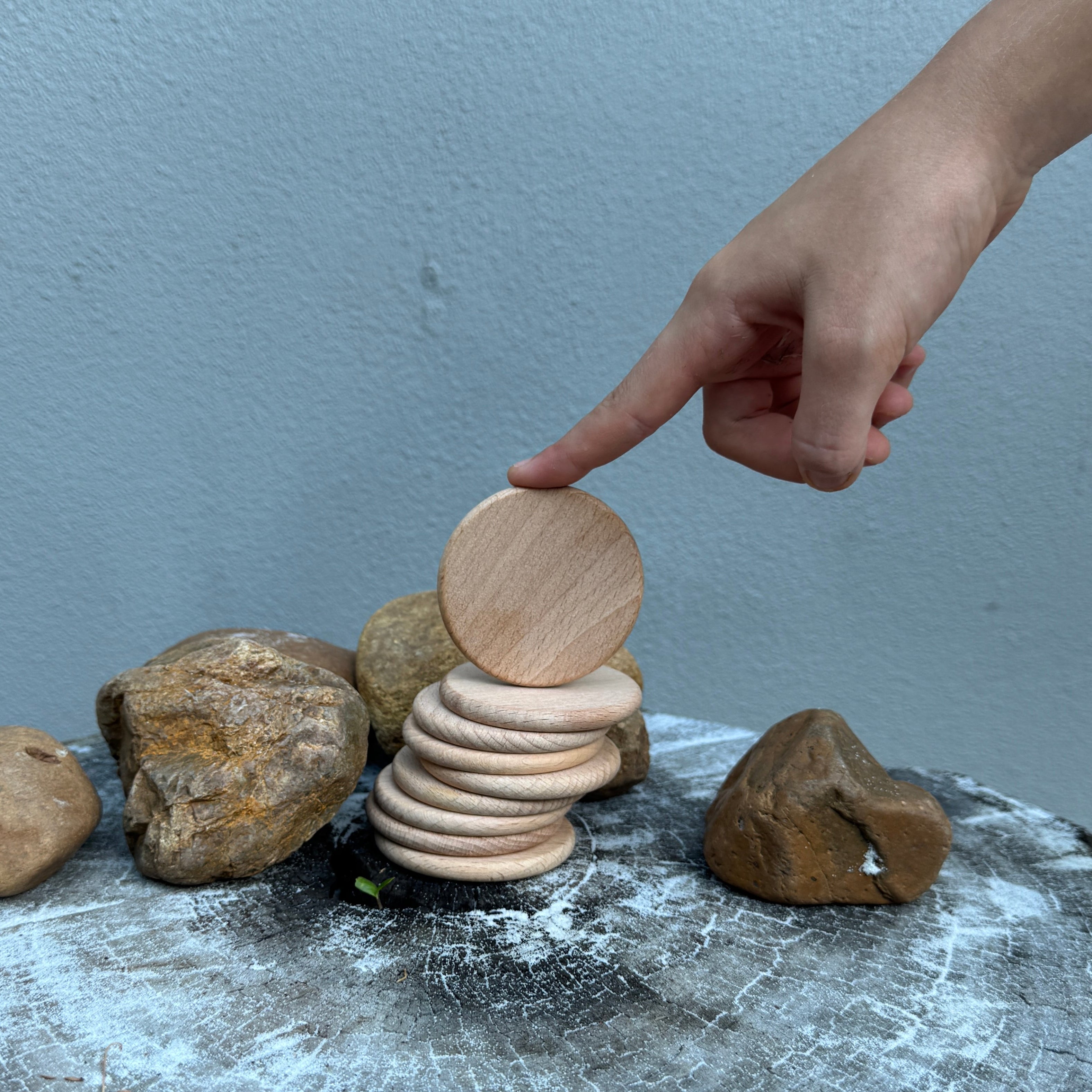 Wooden Crafting Disks