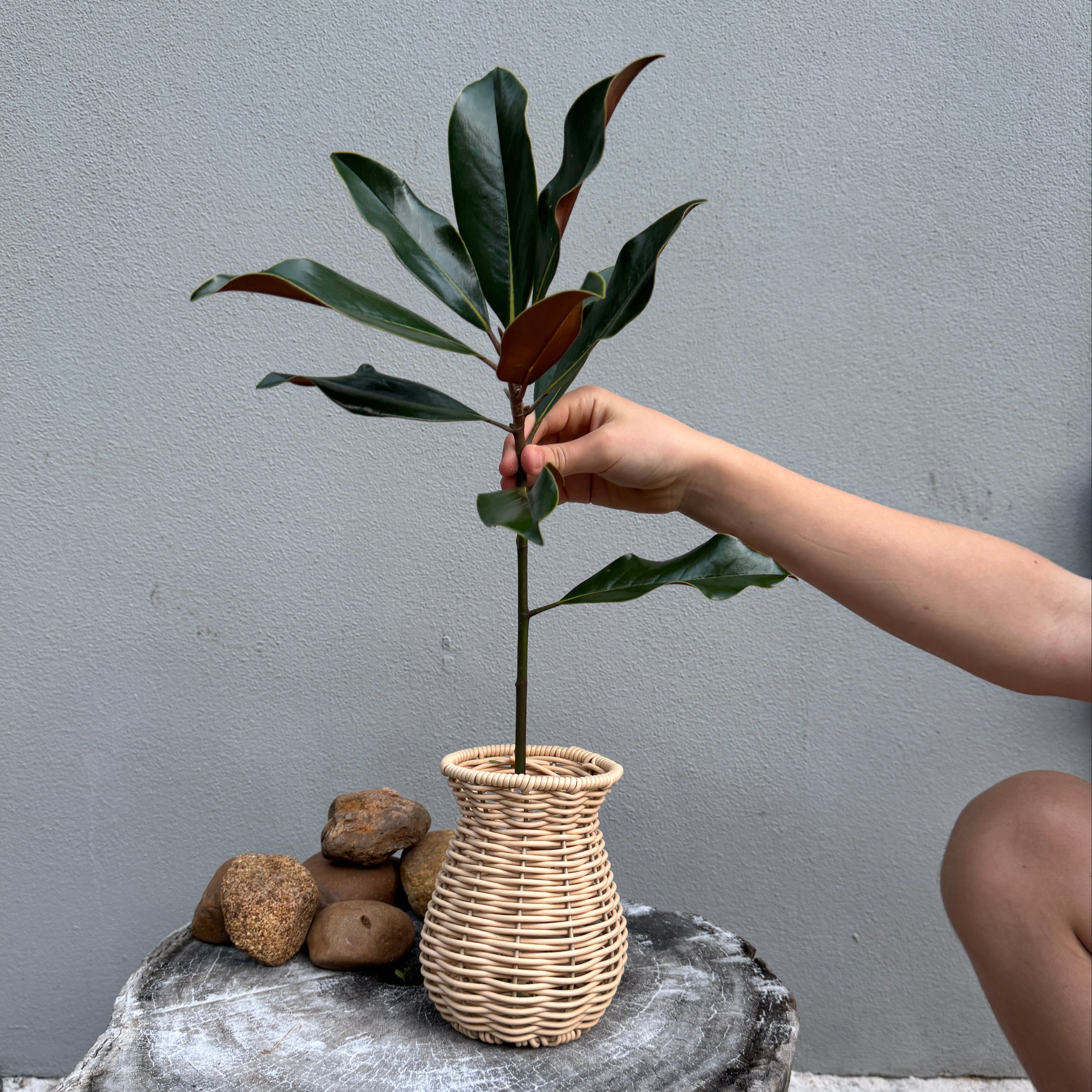 Woven Vase