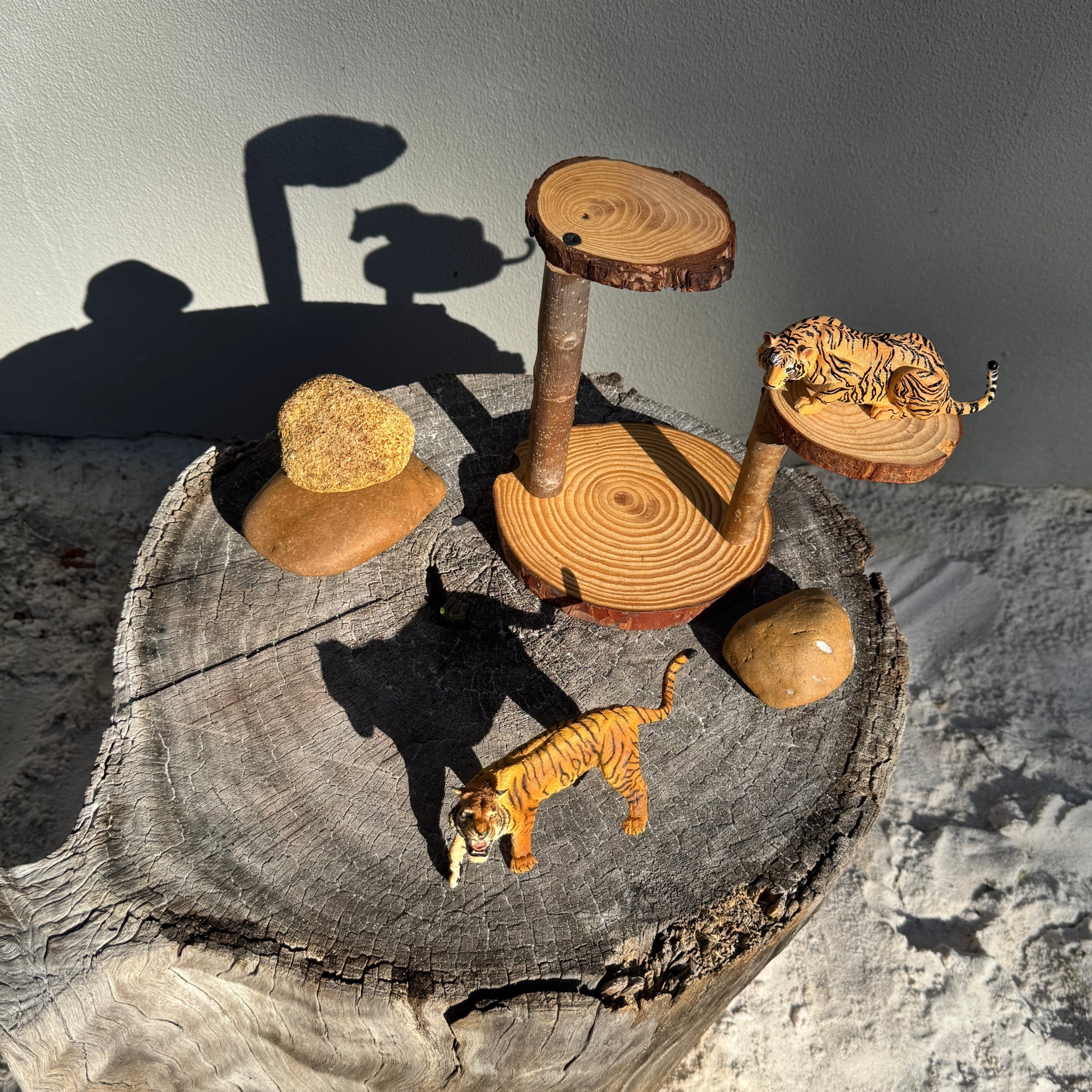 Small World Wooden Platform