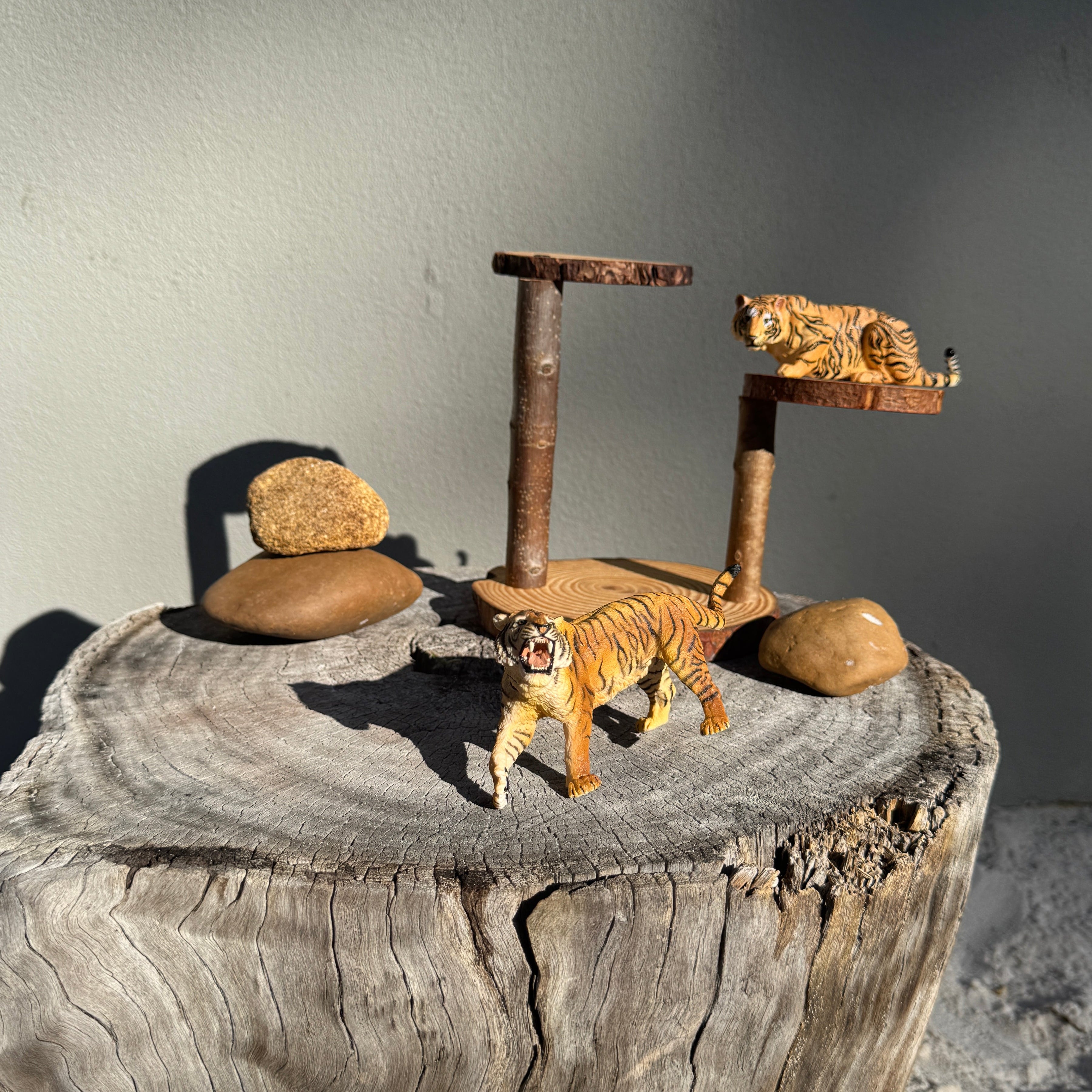 Small World Wooden Platform