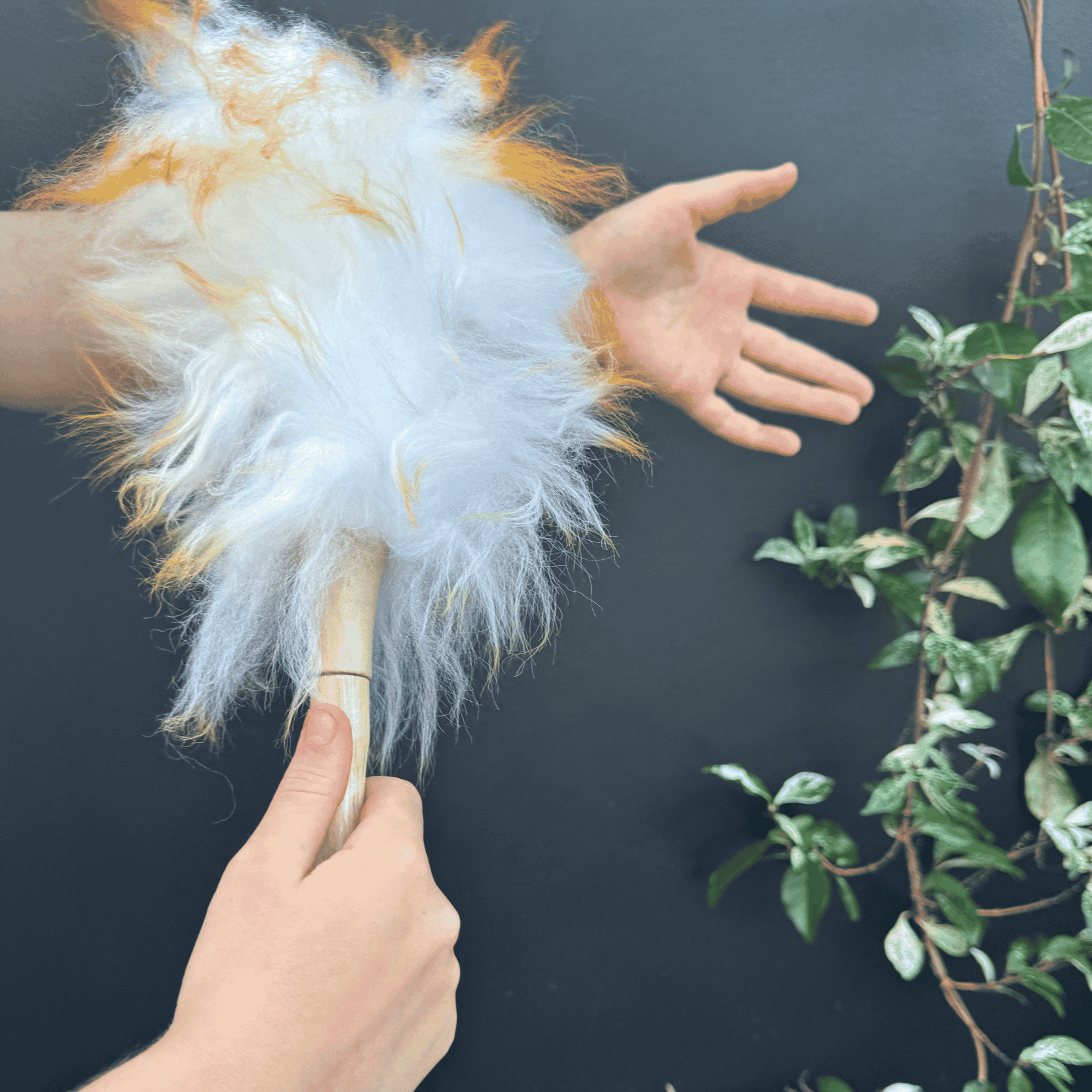 Cotton wool Duster