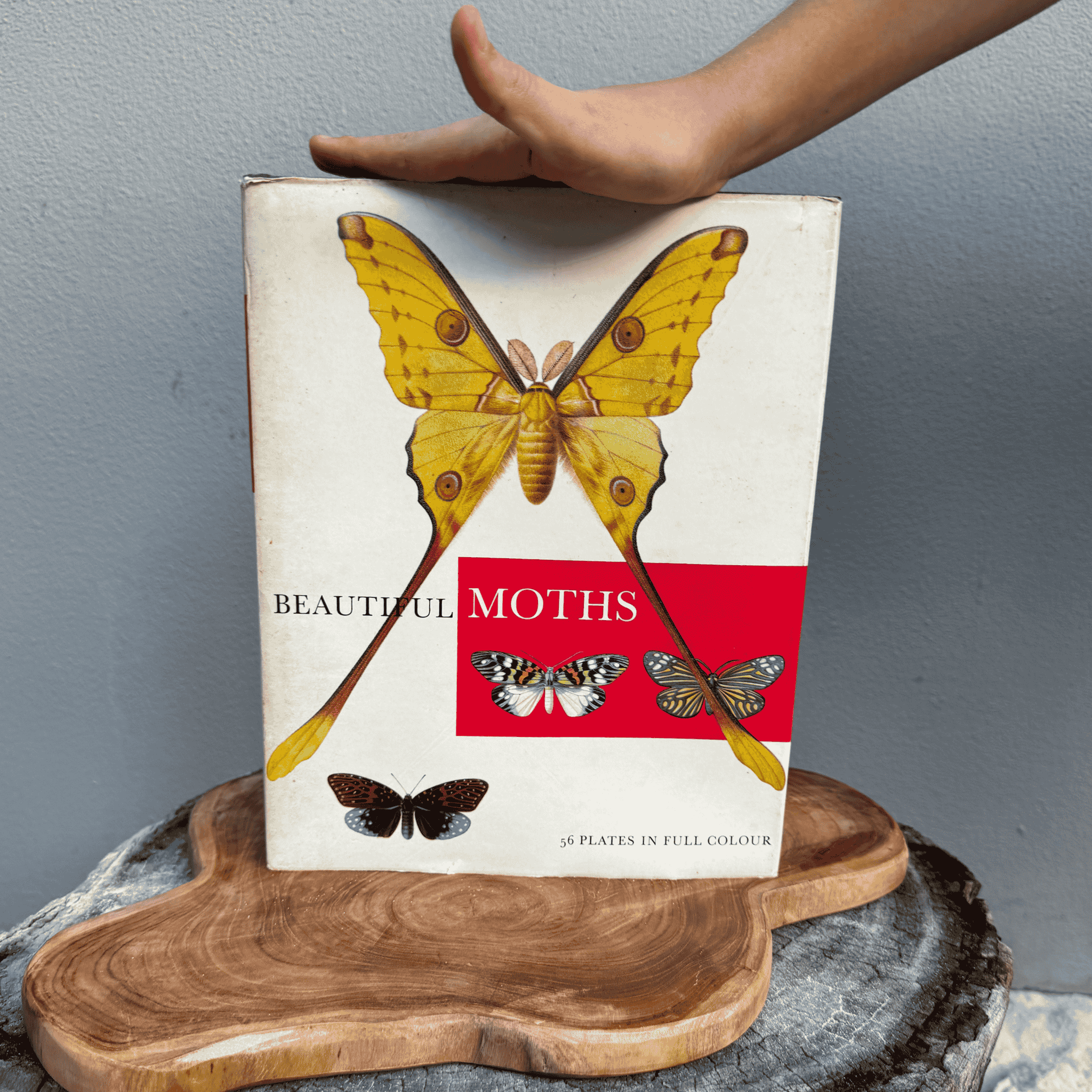Vintage Book