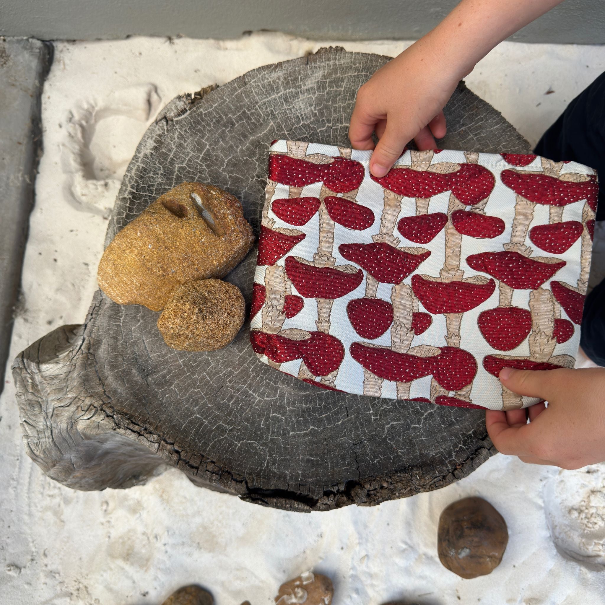 Mushroom Pencil Case