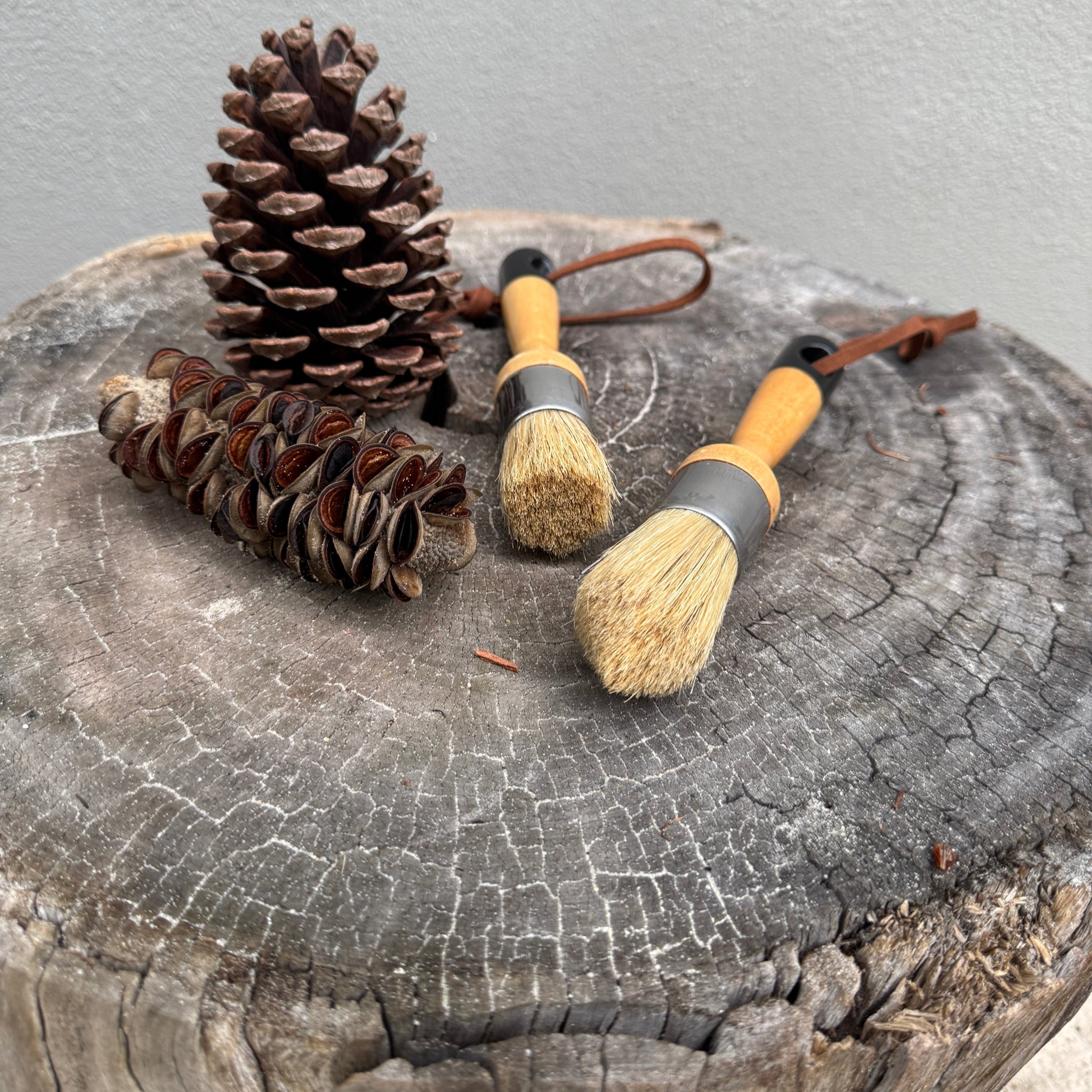 Paintbrush Set - Round