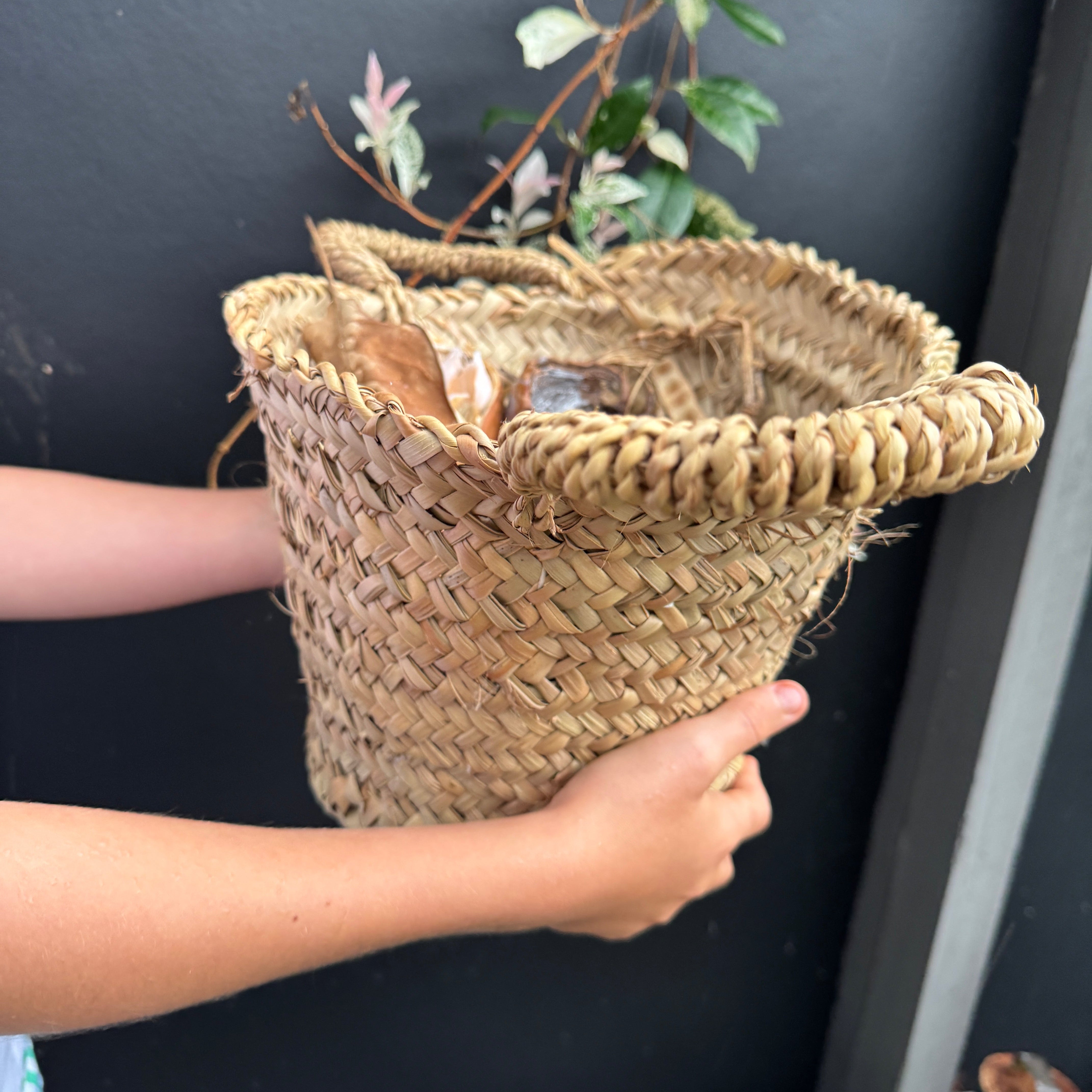 Storage Basket