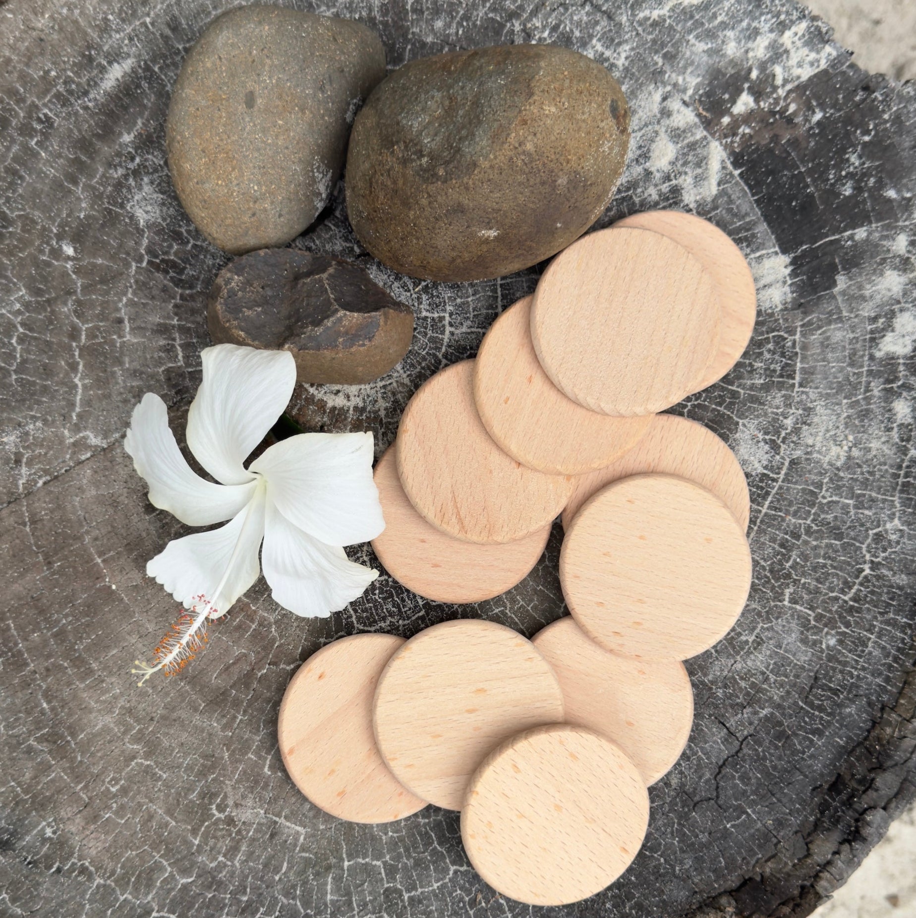Wooden Crafting Disks