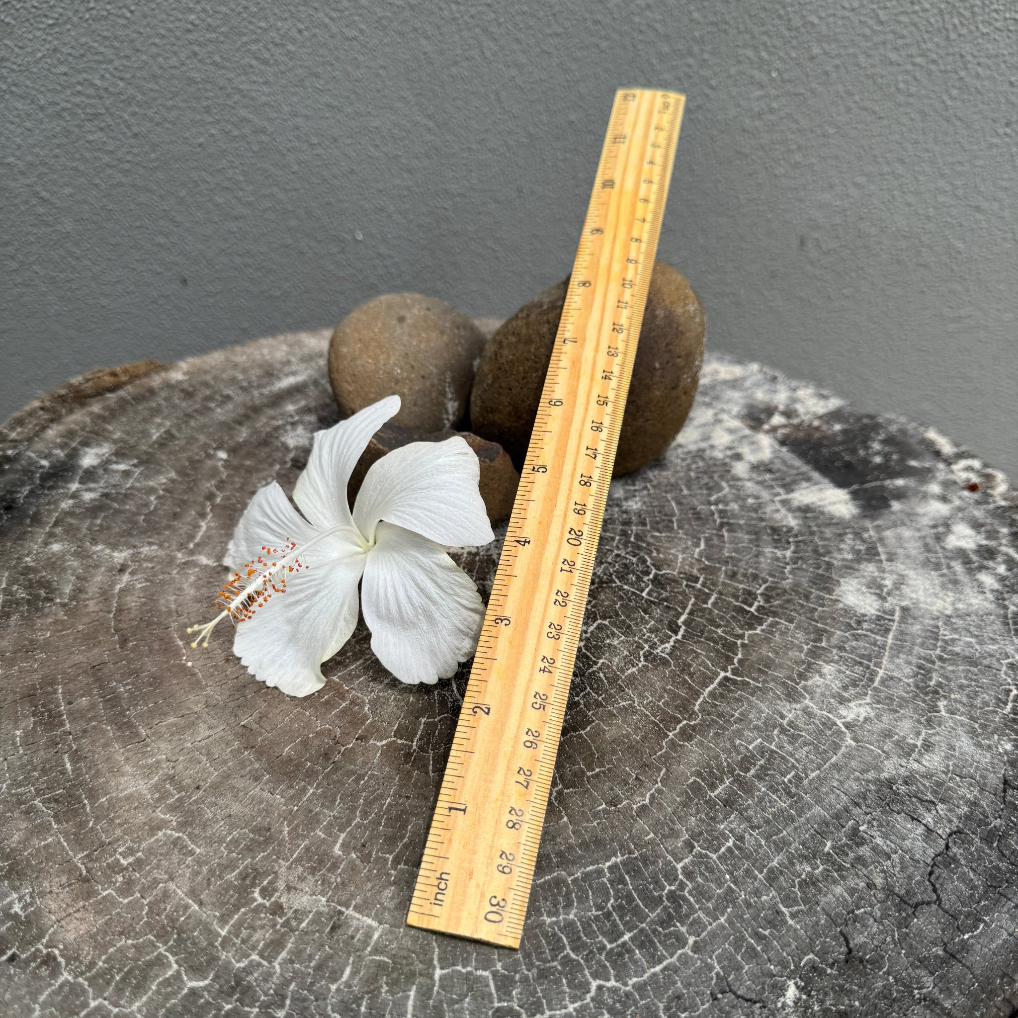 Traditional Wooden Ruler