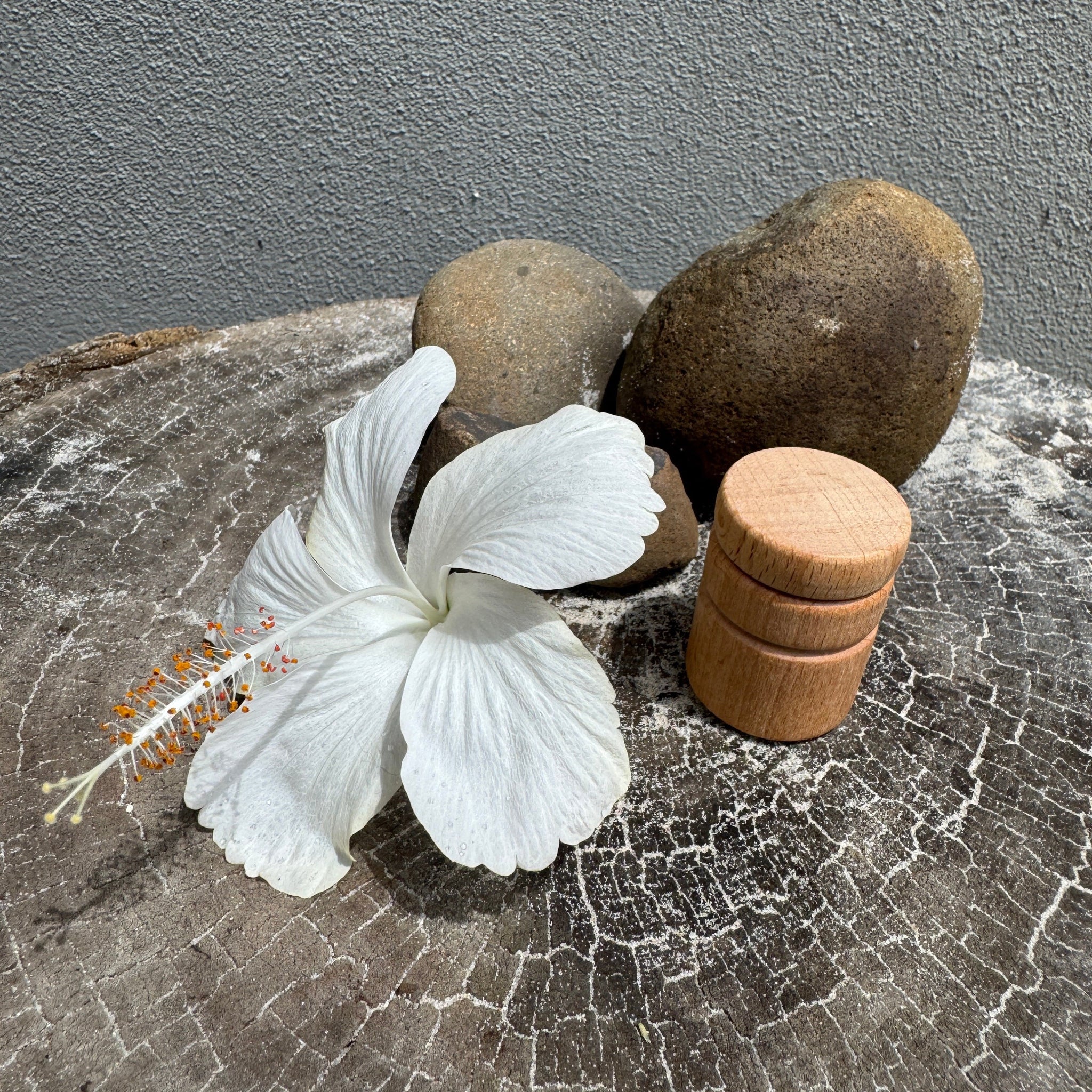 Tooth Fairy Container and Fairy Doll