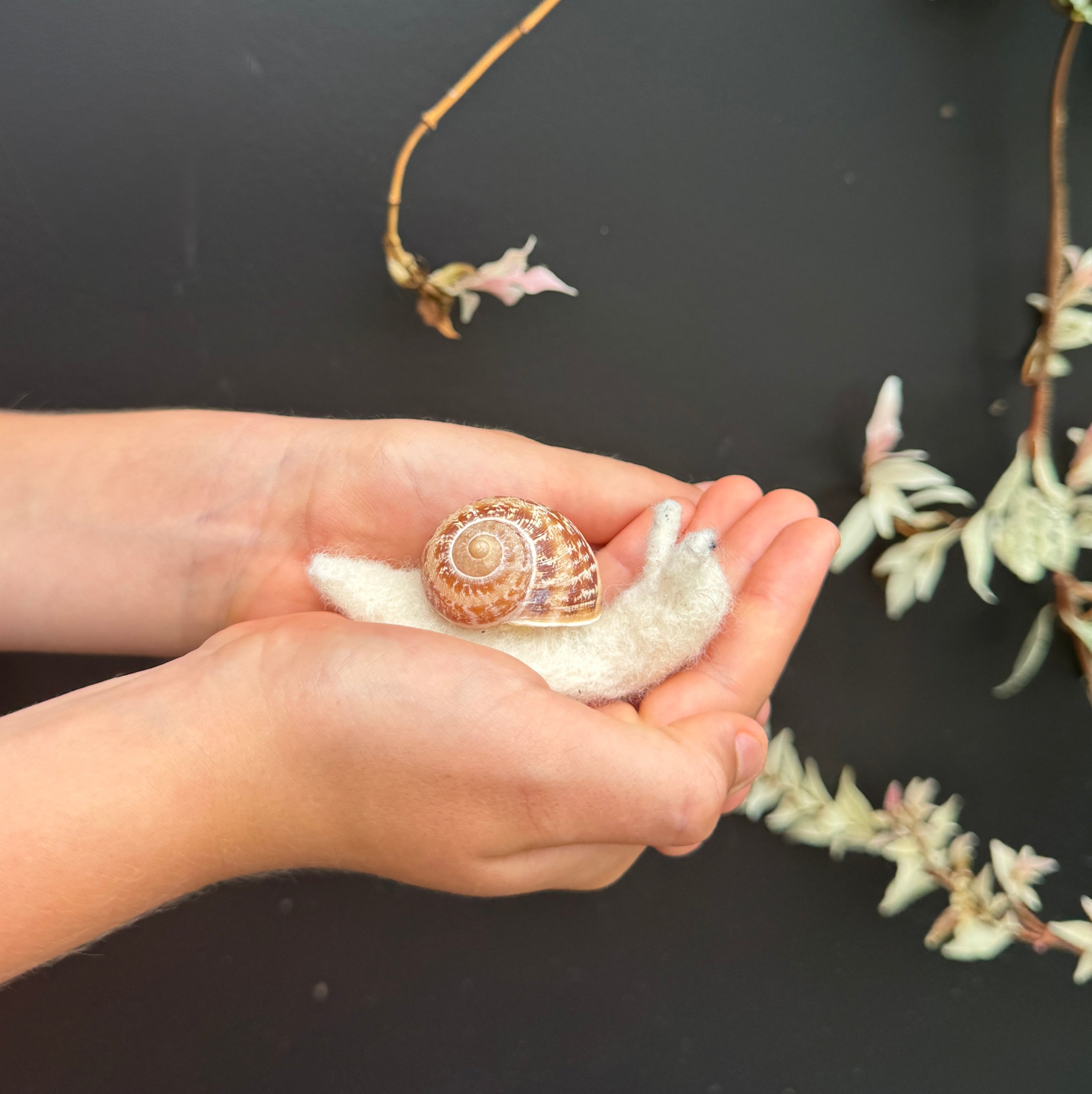 Small Creatures - Snail