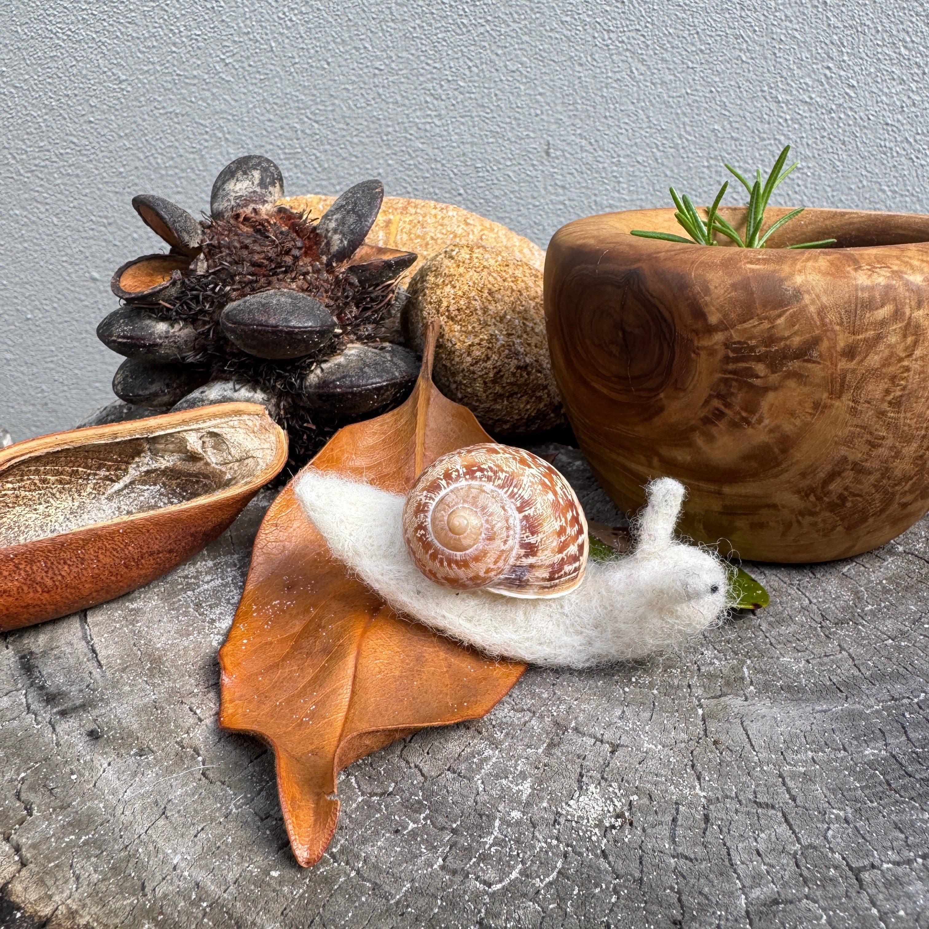 Small Creatures - Snail