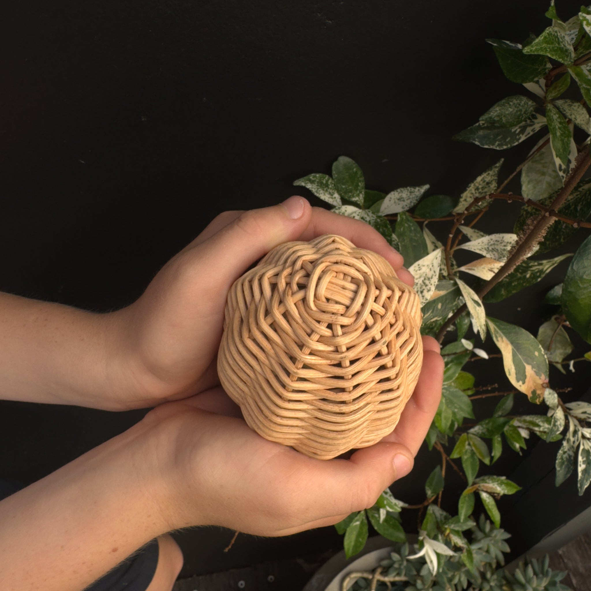 Toy Tree/ Bush