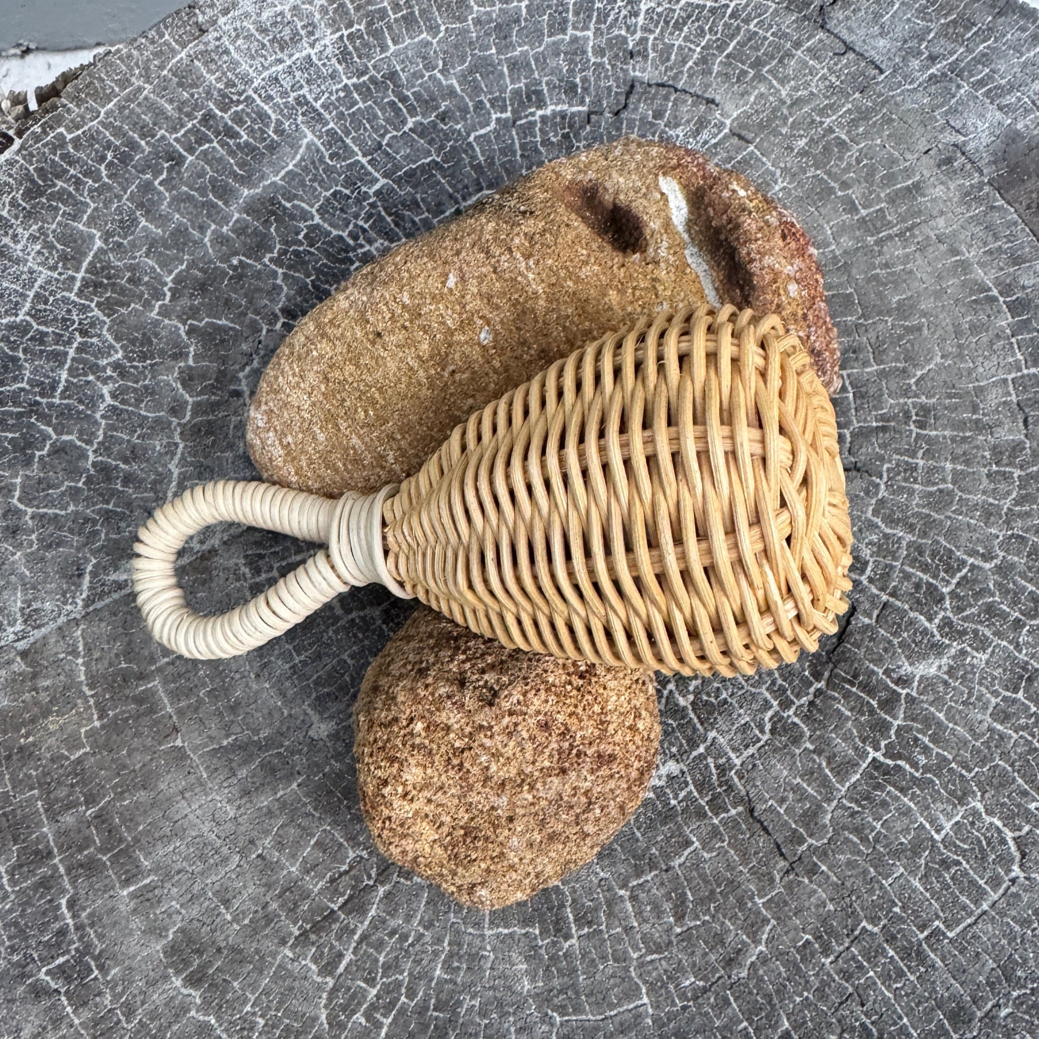Rattle/ Percussion Music Instrument