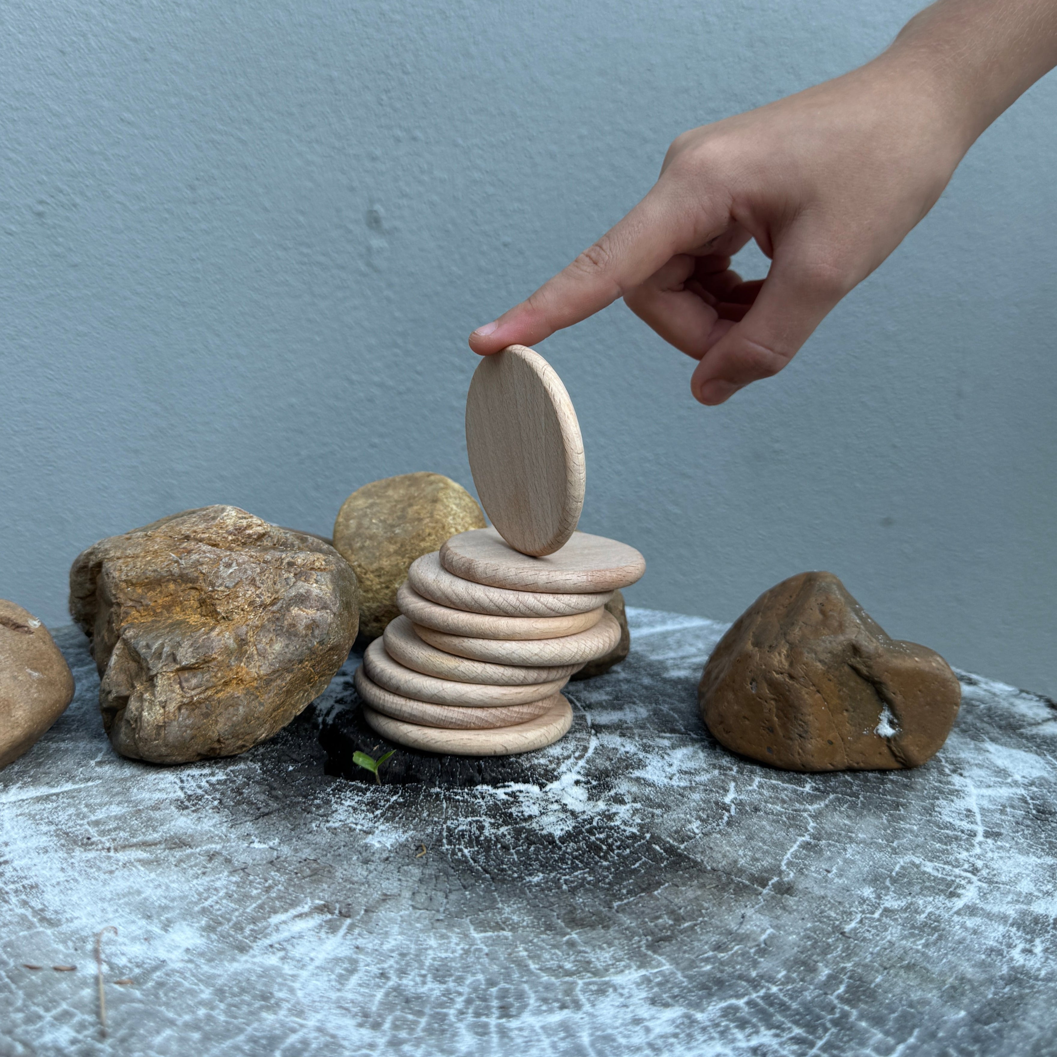 Wooden Crafting Disks