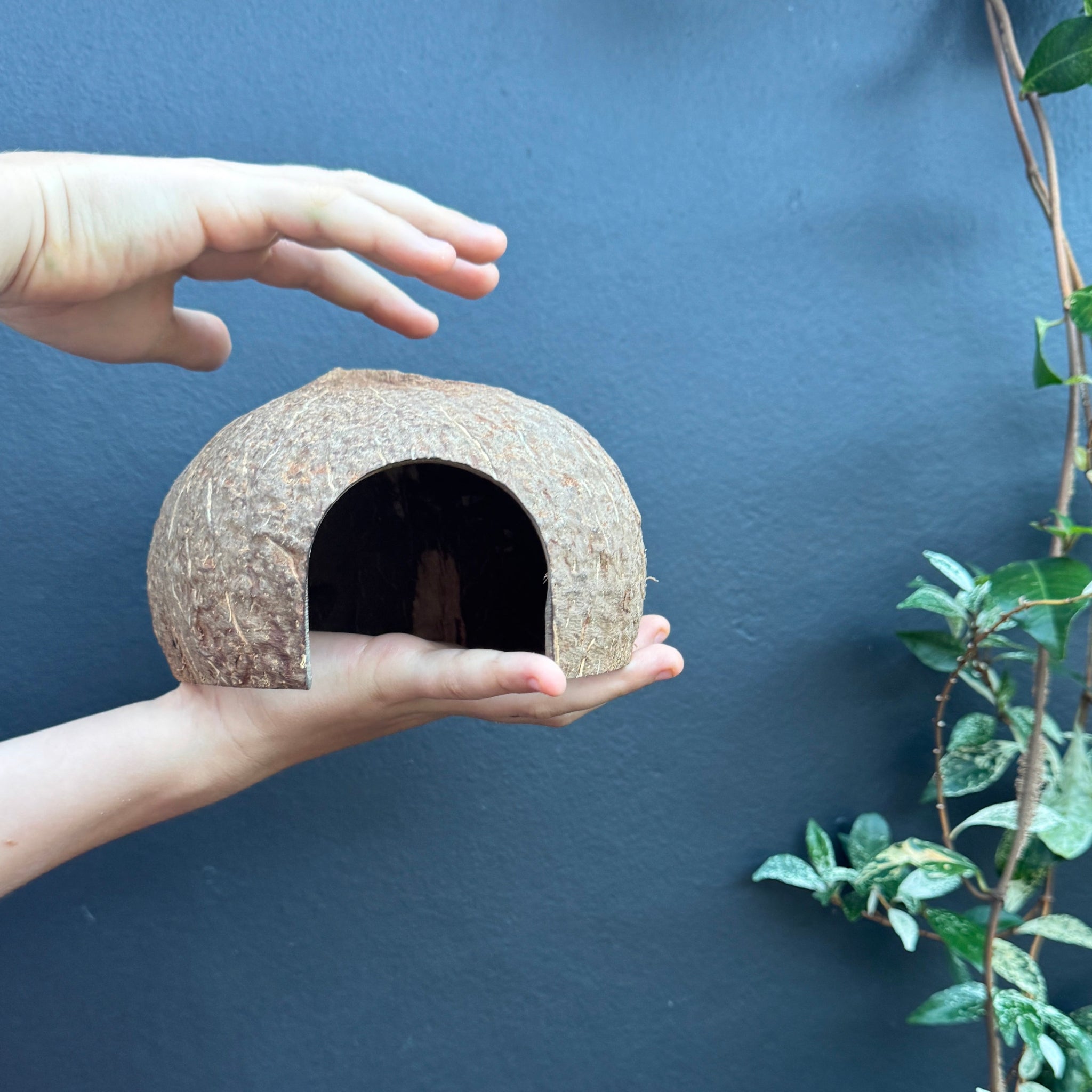 Sandpit Scoop/ Small World Cave