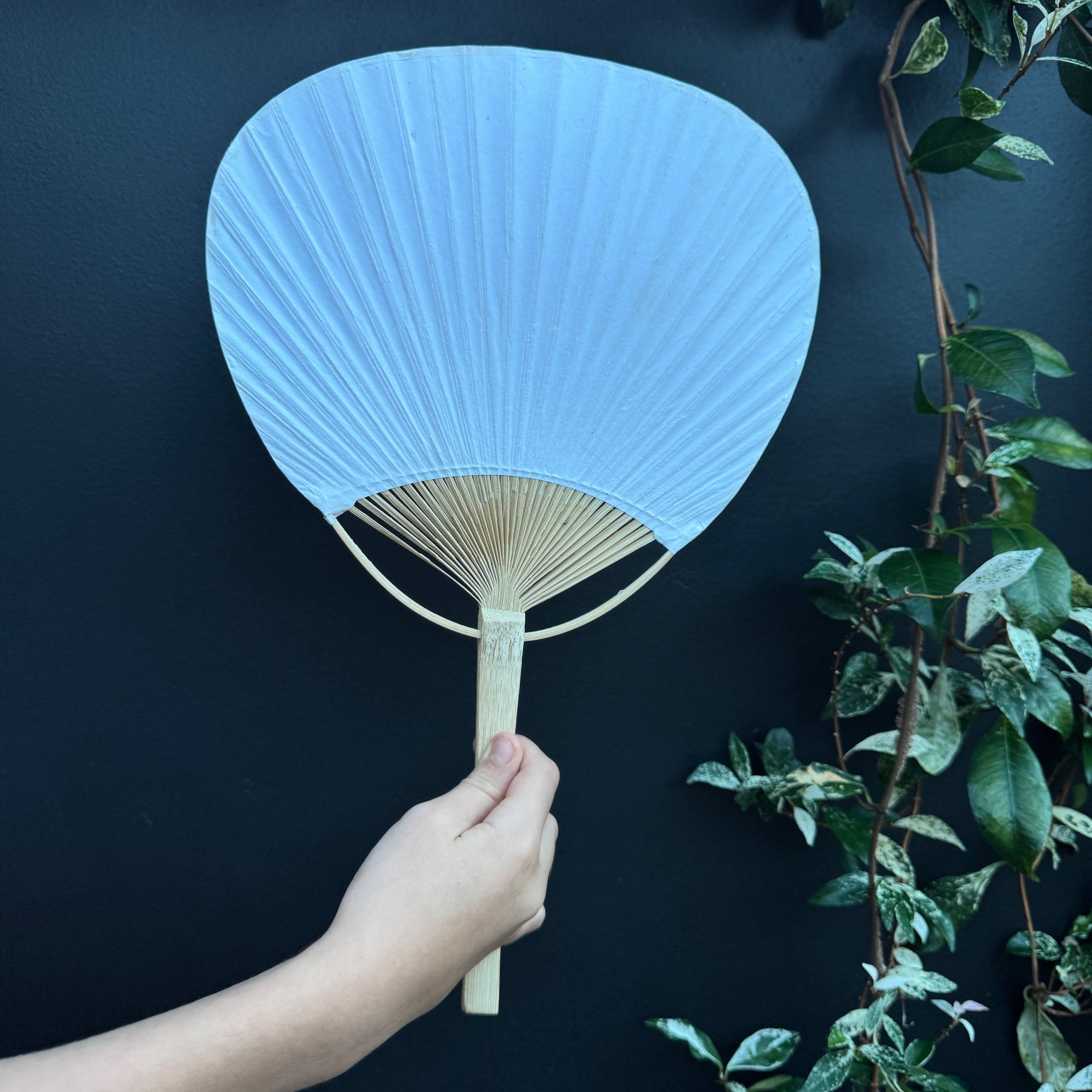 Paper Fan