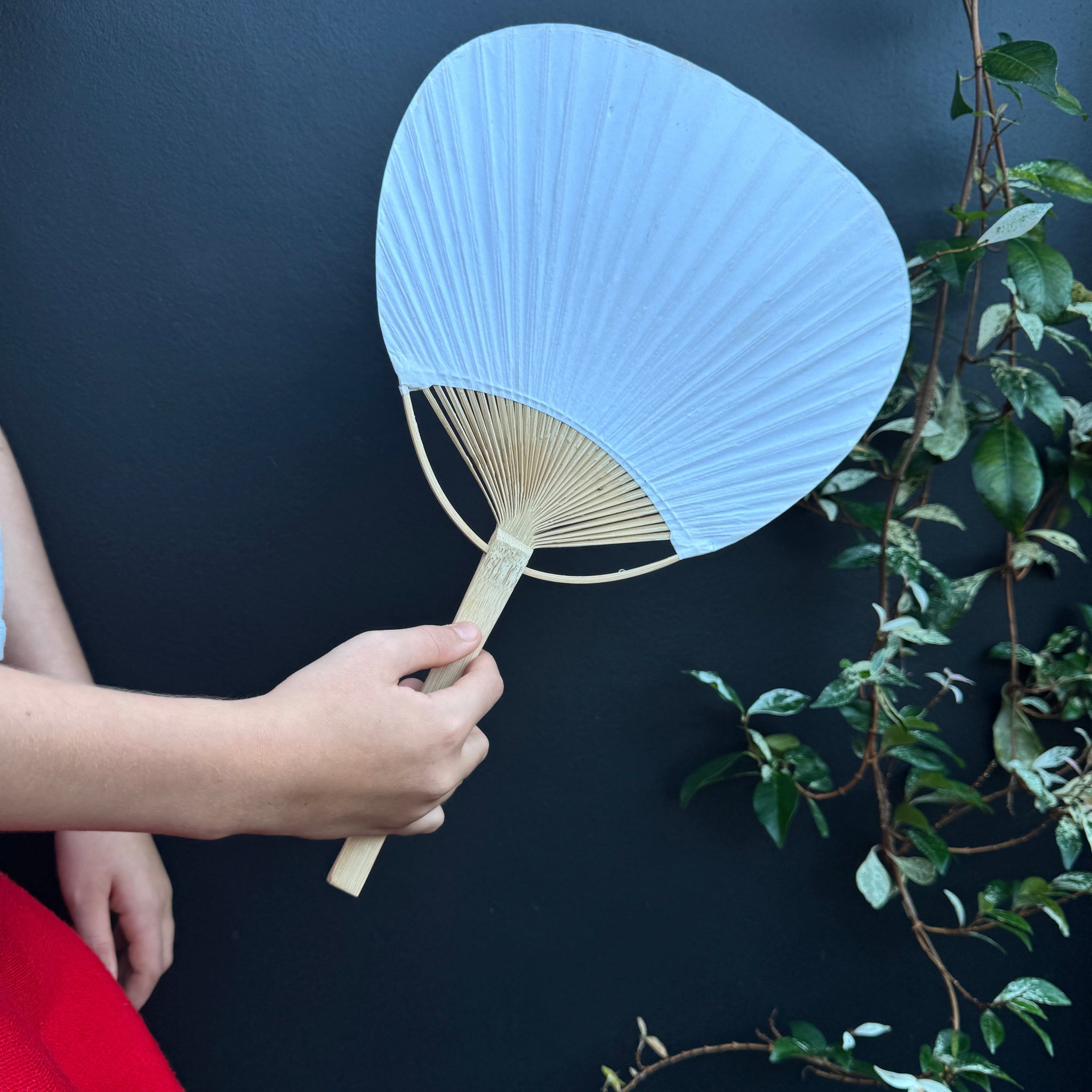 Paper Fan