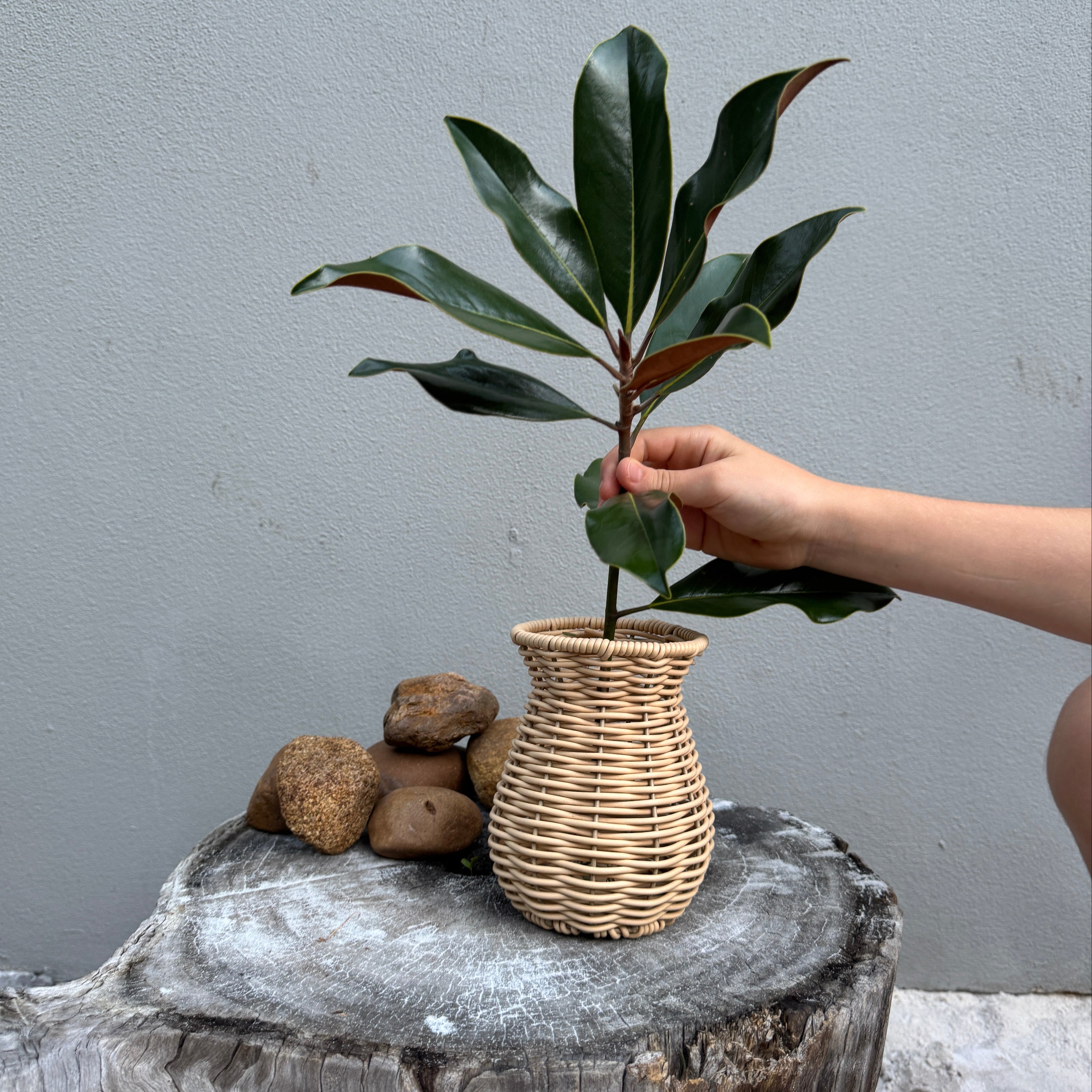 Wicker Vase / Brush holder