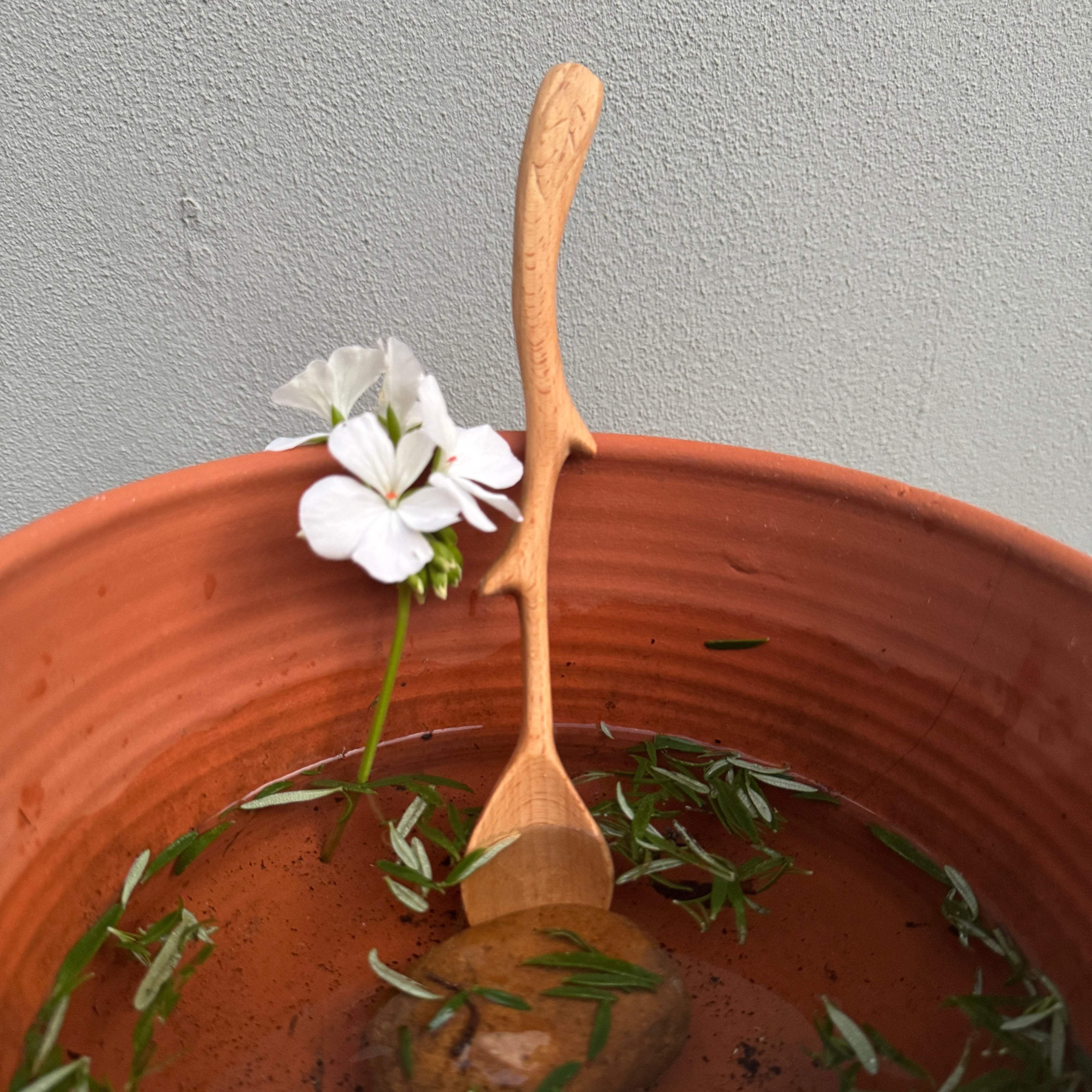 Wooden Twig Spoon