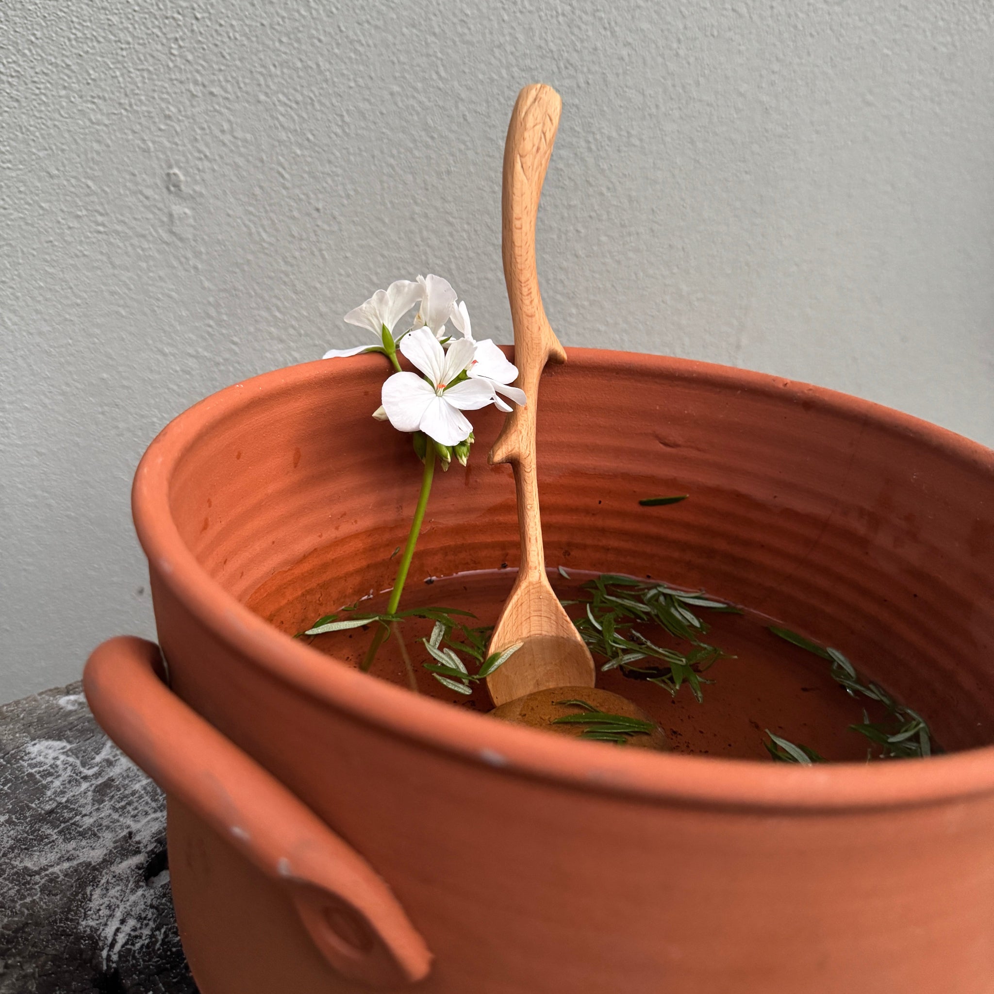 Wooden Twig Spoon