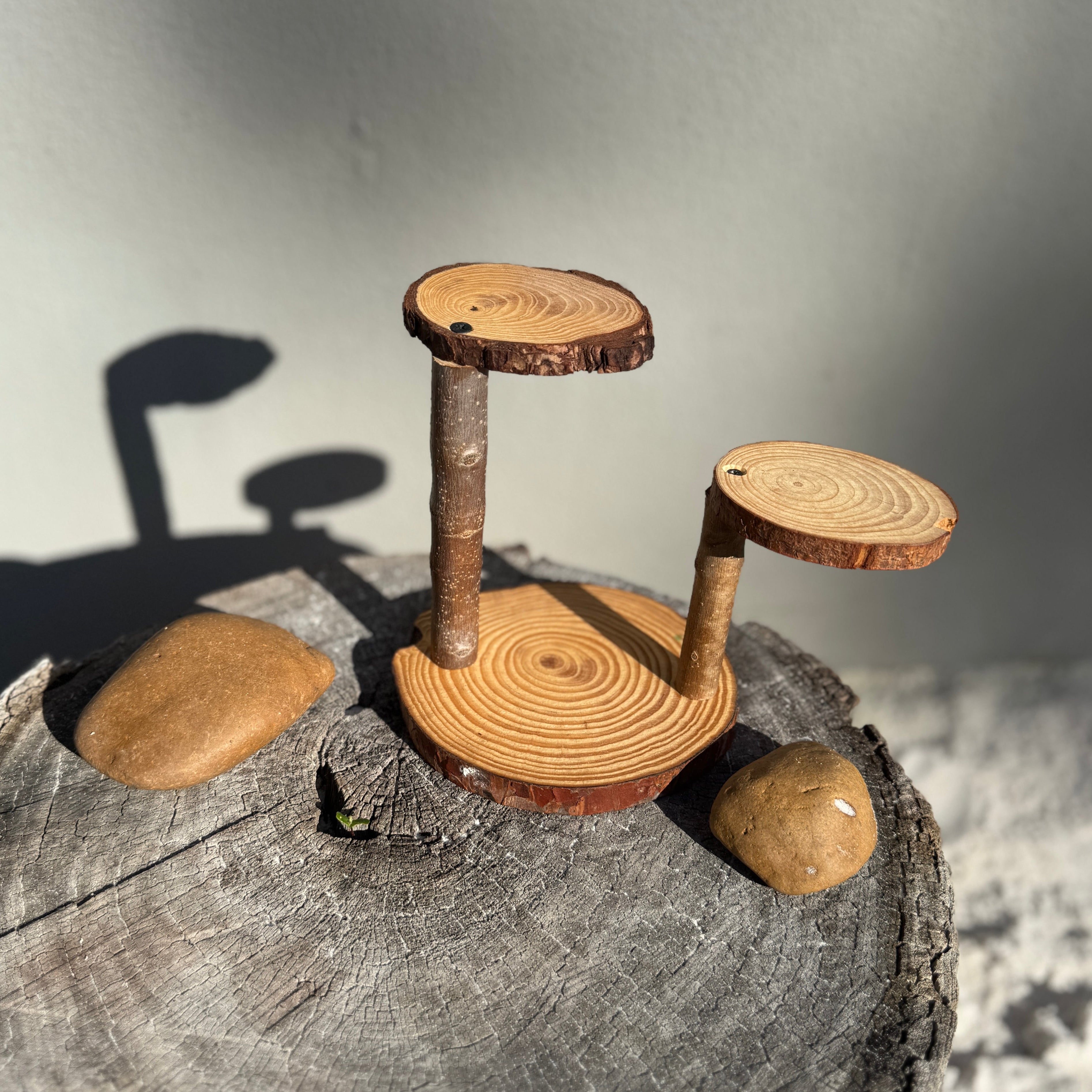 Small World Wooden Platform