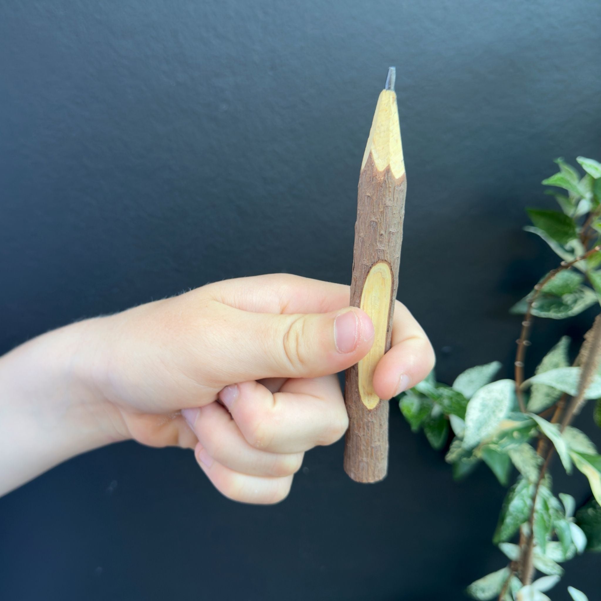 Wooden pencils