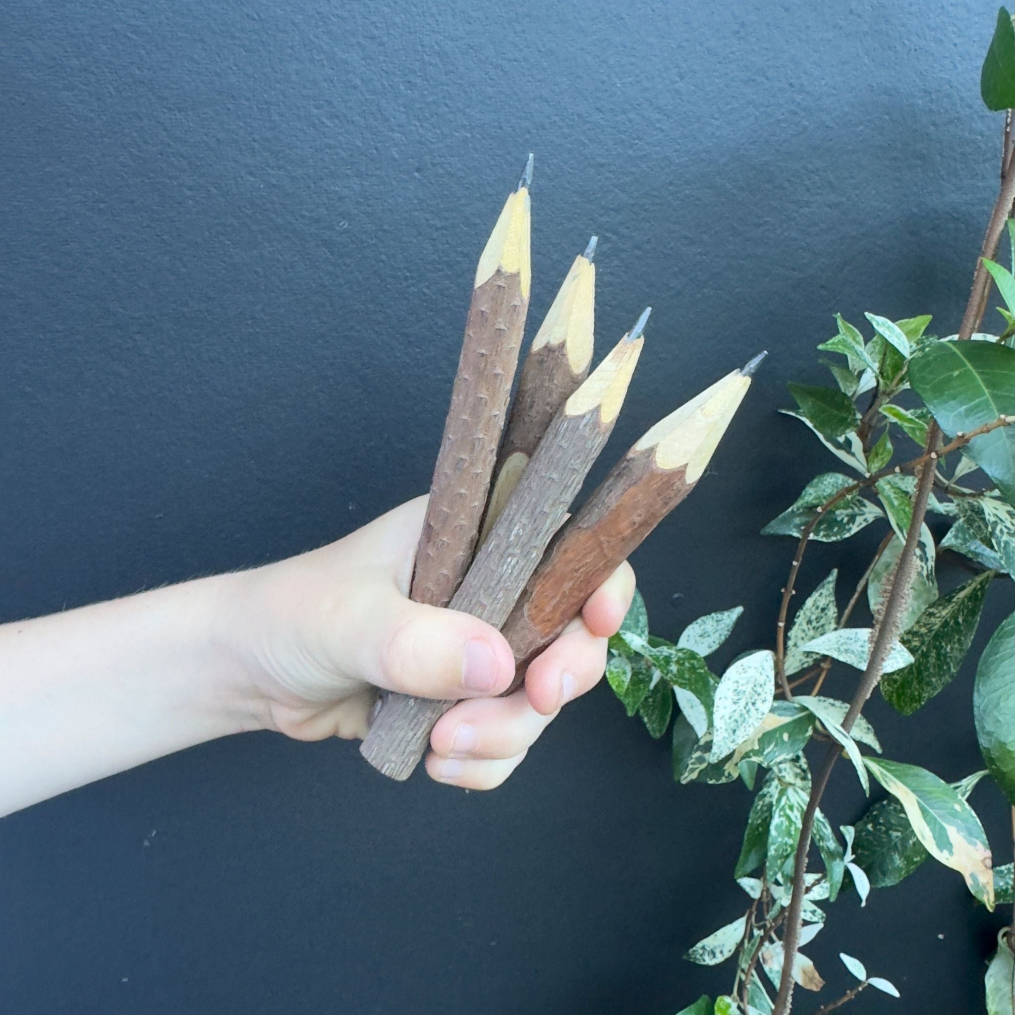 Wooden pencils