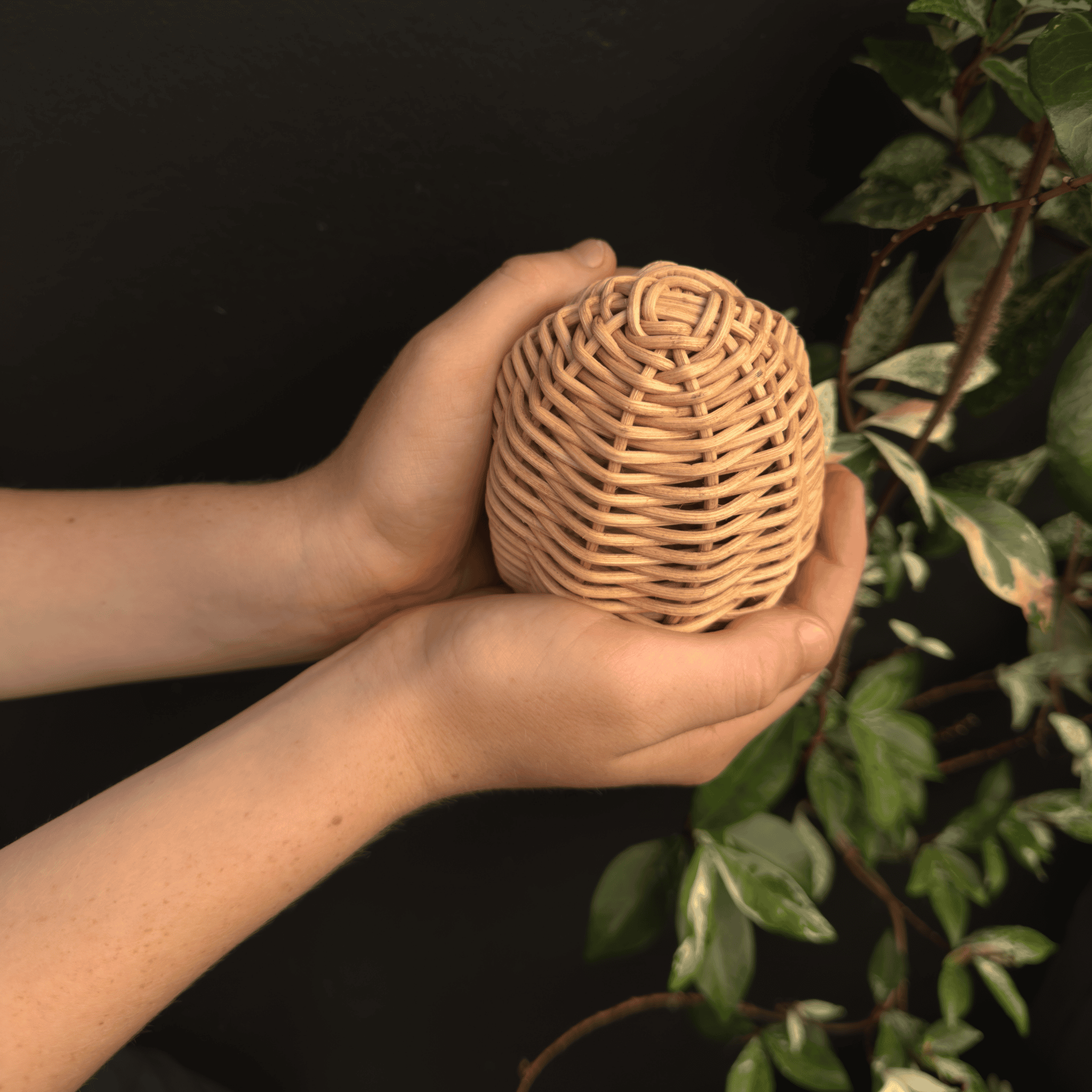 Toy Tree/ Bush