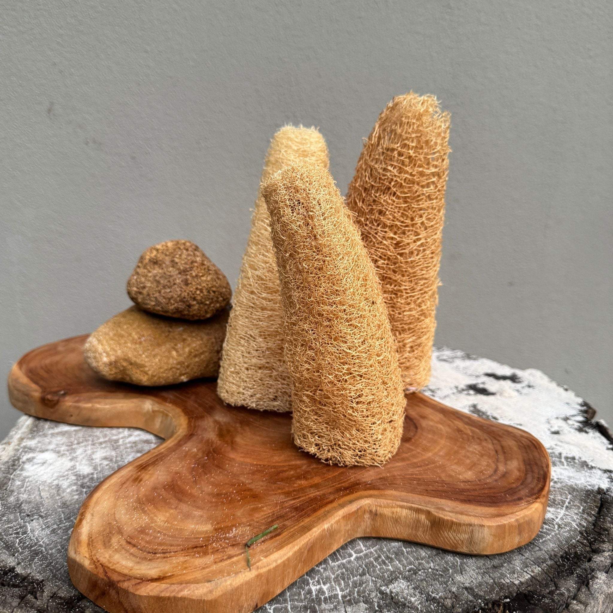 Art Sponge