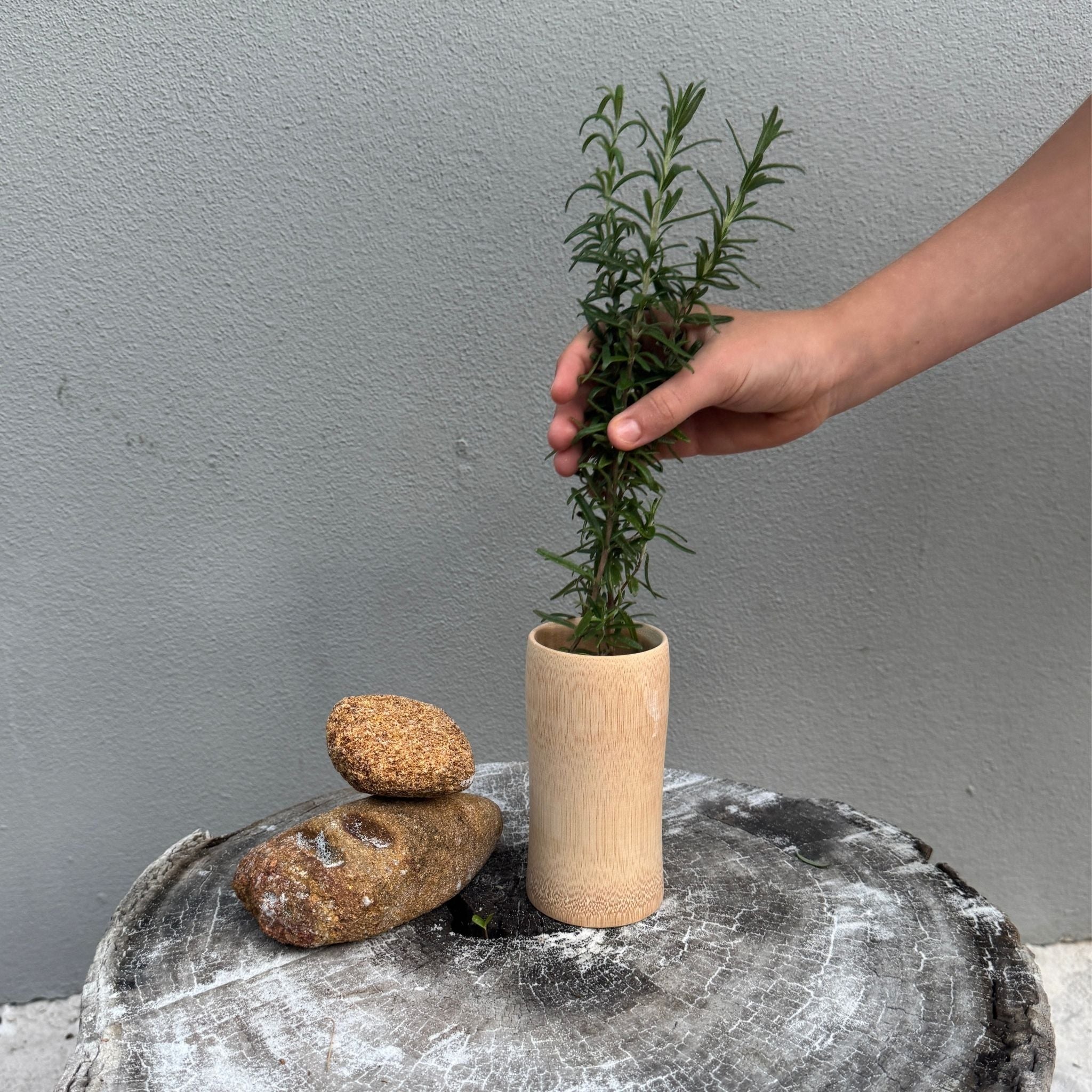 Bamboo Vase