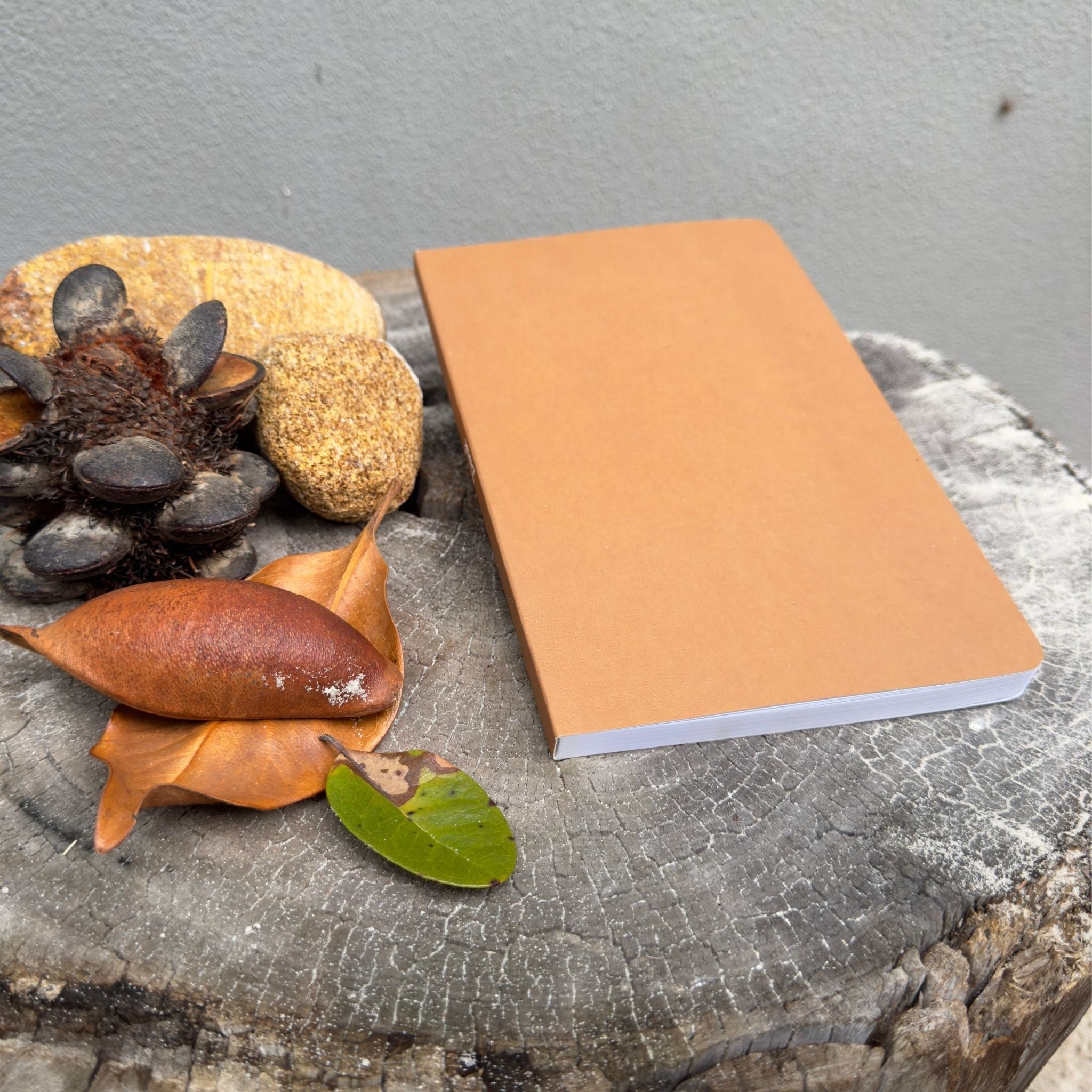 Nature  Journaling Notebook