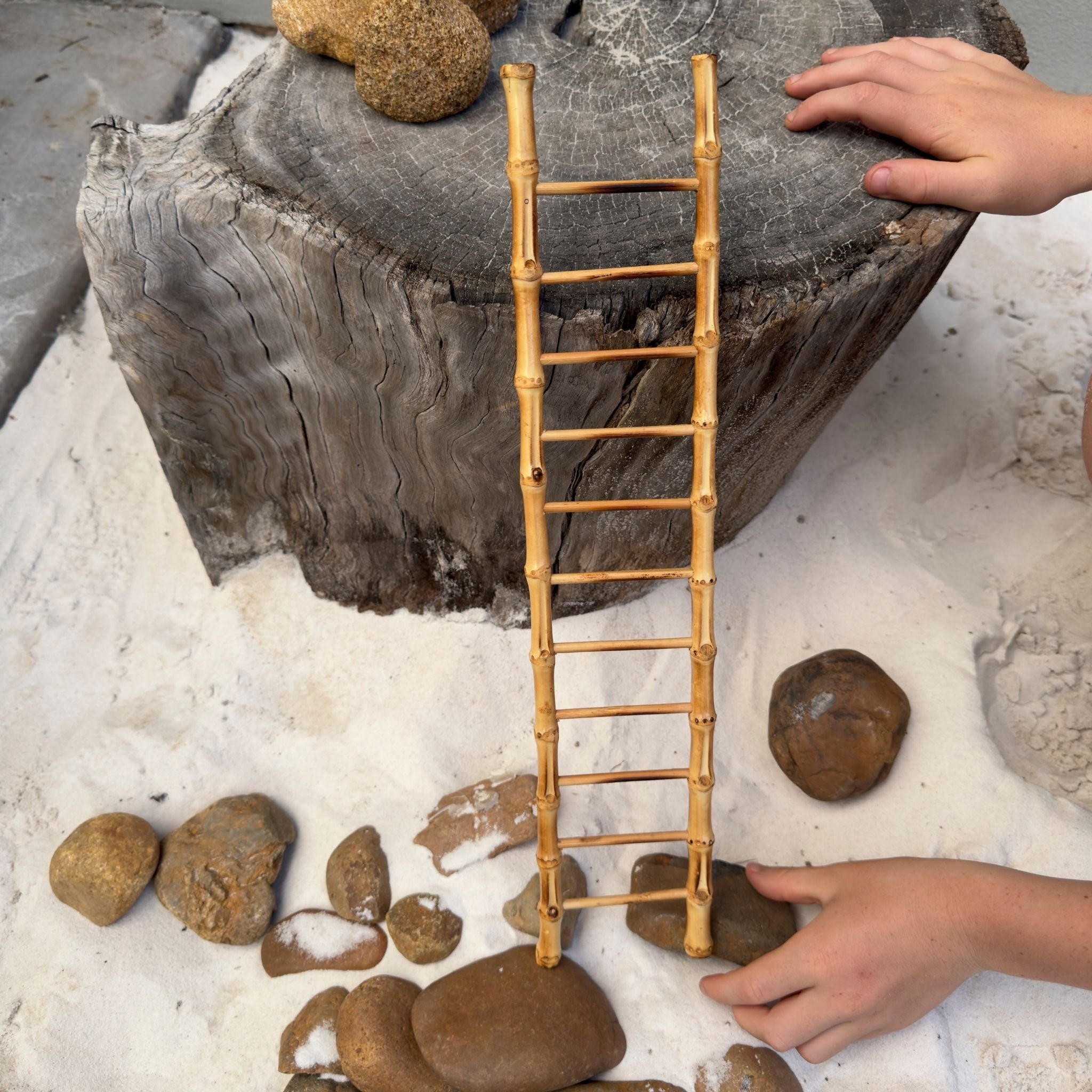 Toy Ladder